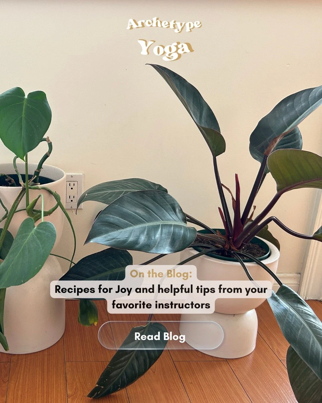 ✍️ New on the Blog: Recipes for Joy!
We asked a few of our instructors, what&rsquo;s bring you joy this season? Read their answers to inspire your own recipes for joy. https://archetype.yoga/archetypeblog/recipes-for-joy

🧘&zwj;♀️ Class Take Over- J