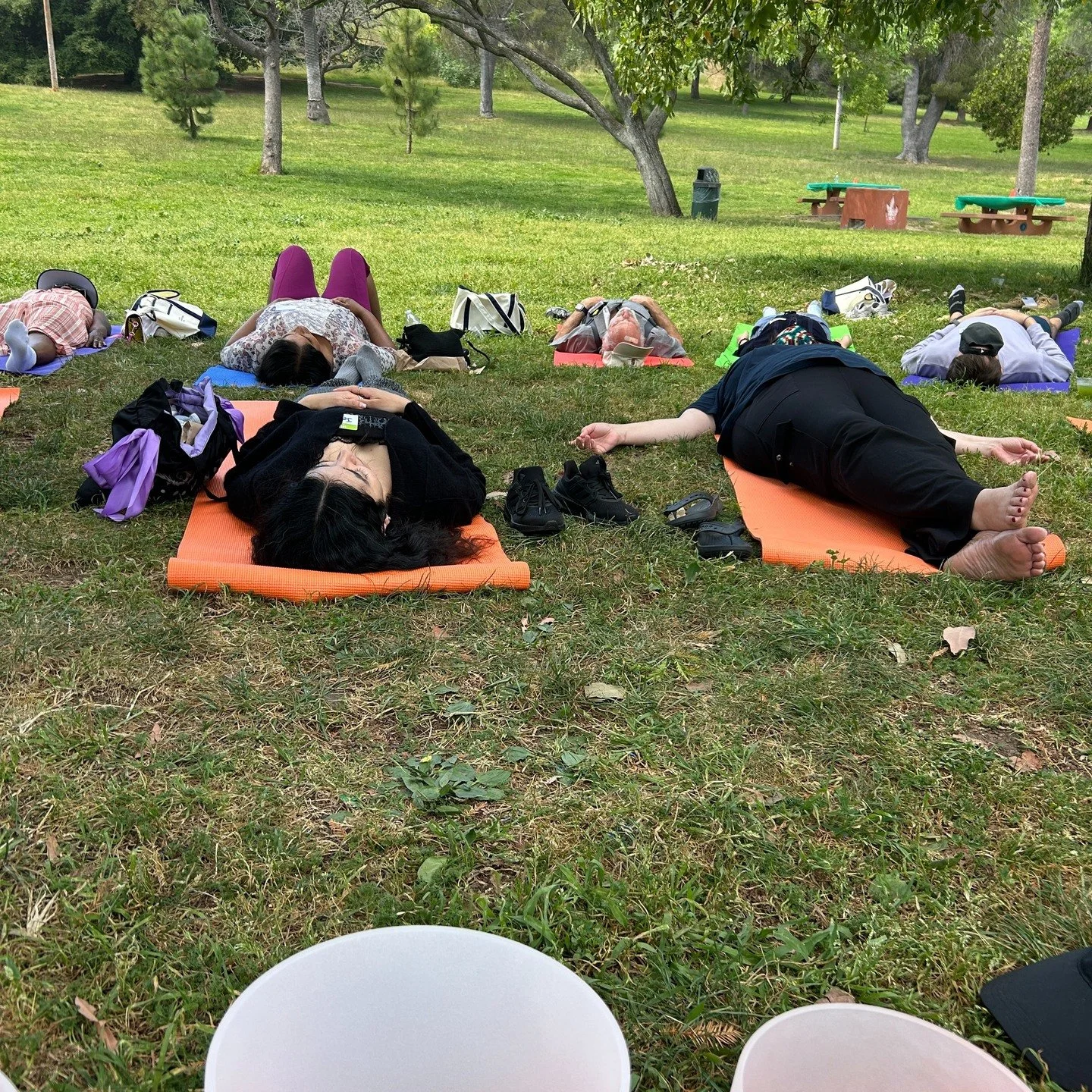 💡 Did you know that our incredible instructors can meet you on the mat? 

Looking to craft a special event for friends and family? 

🌿 We offer yoga and sound bath at your desired day and location.

We've hosted workplace wellness events, birthdays