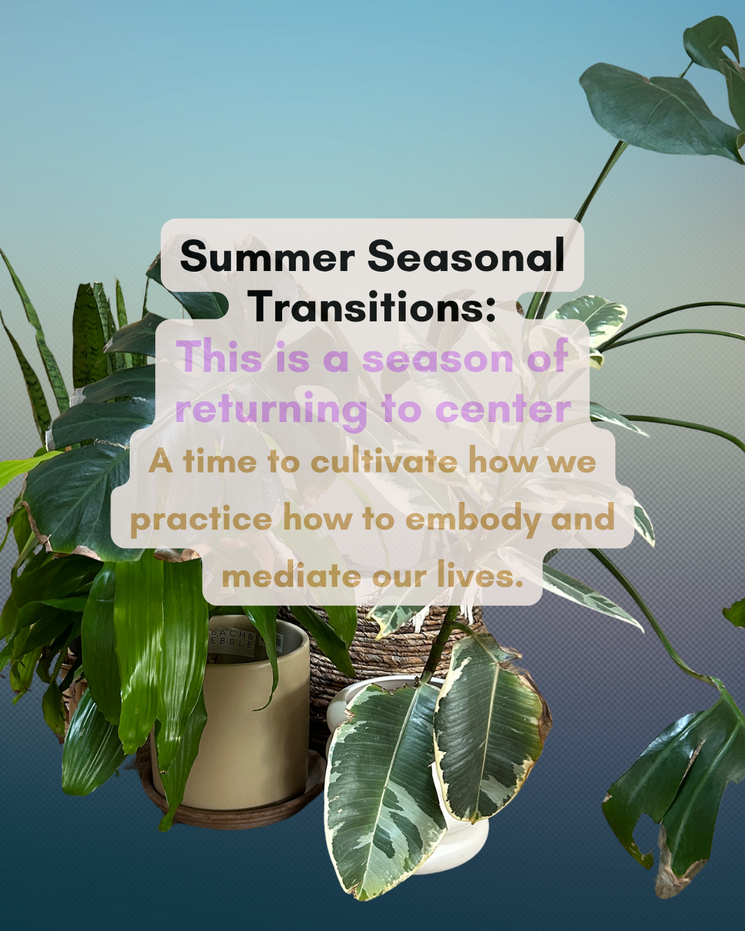 Transition Well into Summer