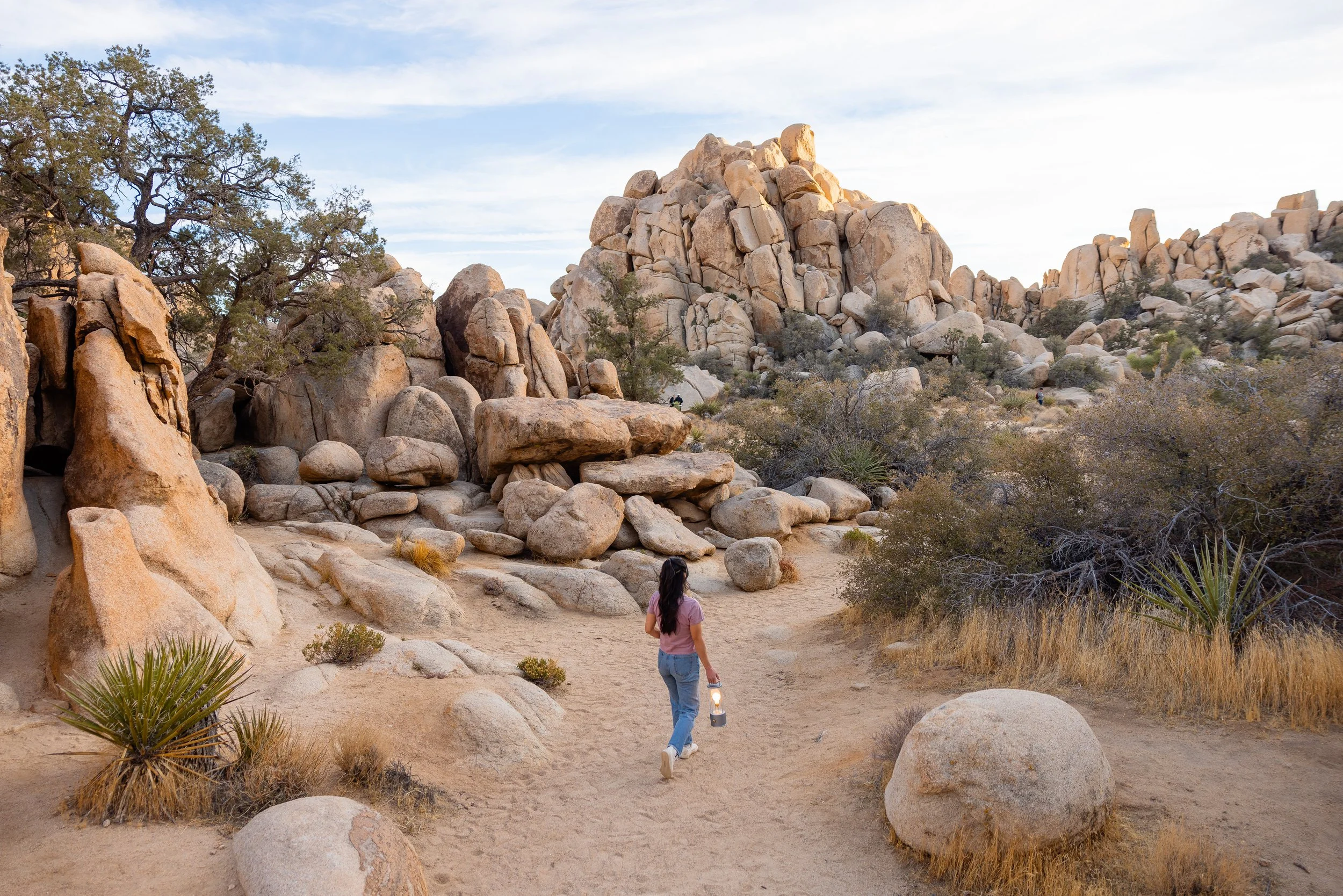 Tala-JoshuaTree-36.jpg