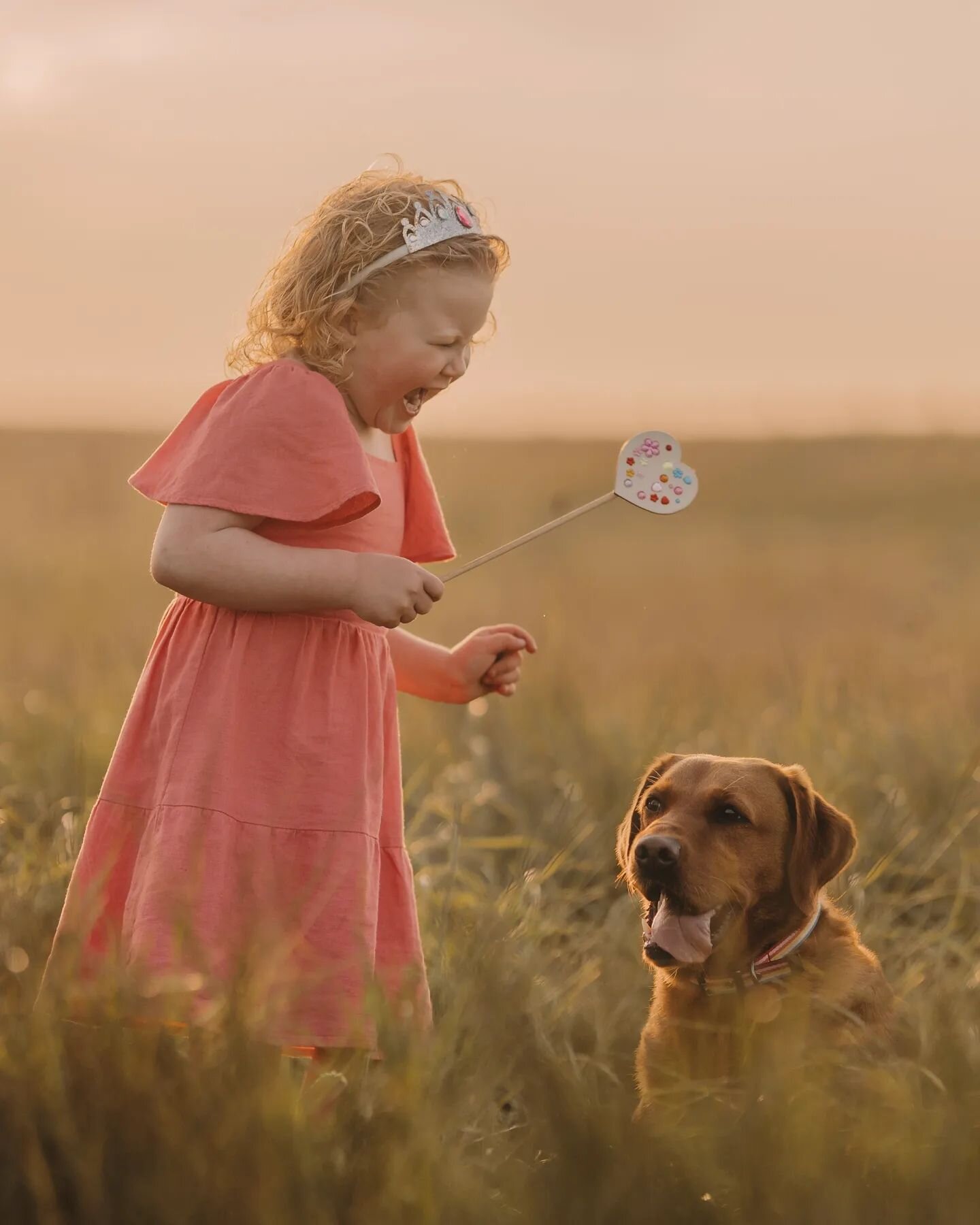 Just sharing some magical Monday golden hour goodness 🥹✨

I love it when children come to sessions armed with their own props...for this one, Maeve brought her tiara and fairy wand 🥹 you might think that allowing your child to wear their favourite 
