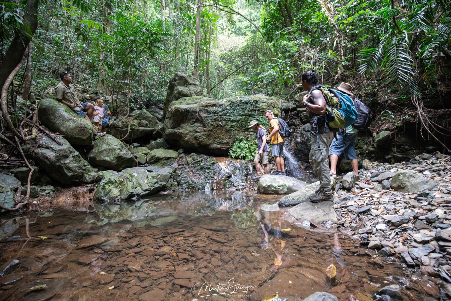 Daintree Experience-Fossil Falls-©-Martin Stringer.jpg