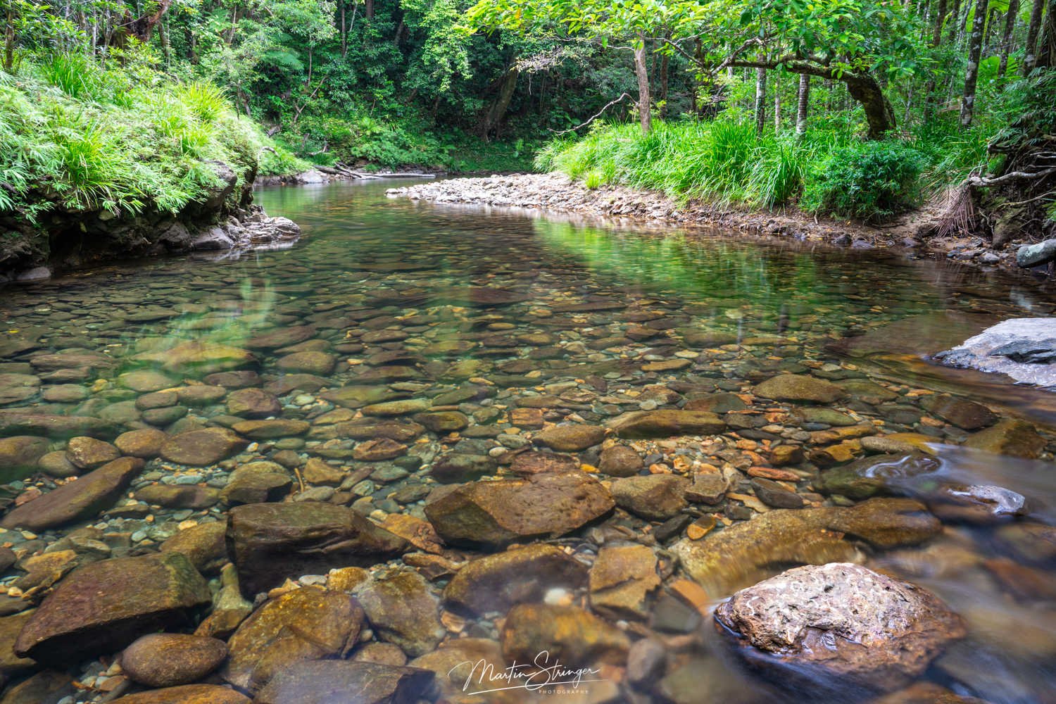 Daintree Experience Swimming Paradise ©-Martin Stringer - web.jpg