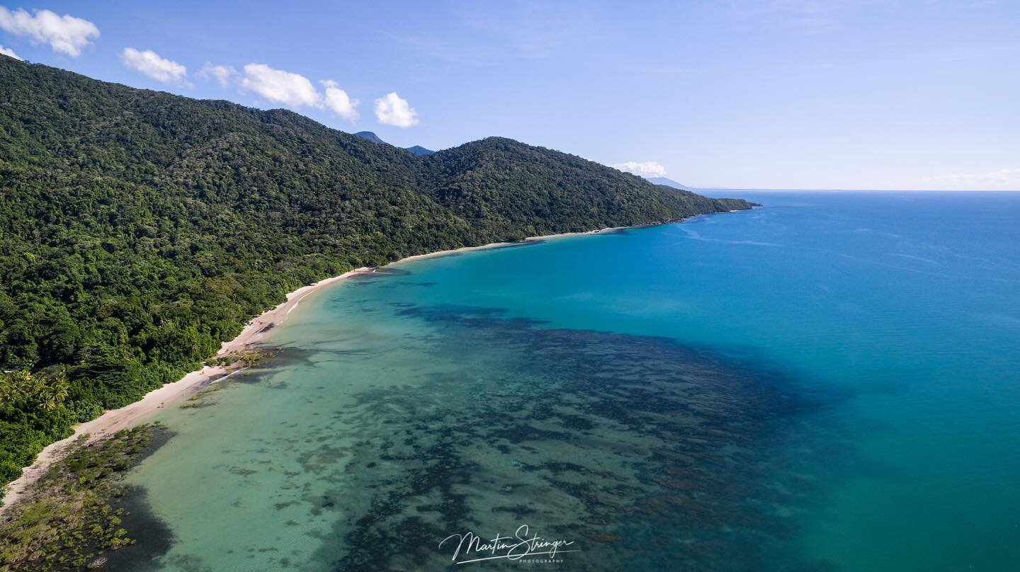 With some of the freshest air, and the most pure mountain streams flowing into the Coral Sea, the Daintree nurtures our souls and delights every sense. 
🕊🦋💖 
Let the adventures commence!
DM us to book

Fabulous photo 📸 by @martinstringerphotograp