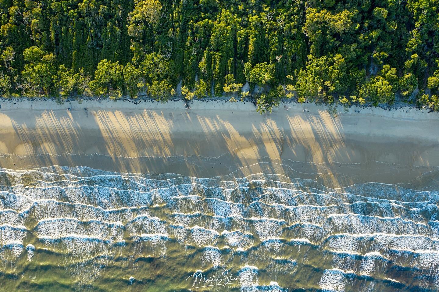 Yes, it&rsquo;s true!  The Daintree is where the Rainforest meets the Reef.  Right here in our back yard is the only place in the whole world where two World Heritage sites smooch. 😻 Come join us on our day tour and to cap off the adventure, we will