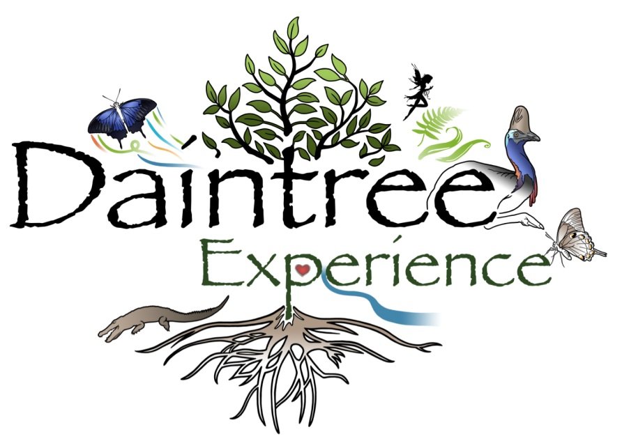 Daintree Experience