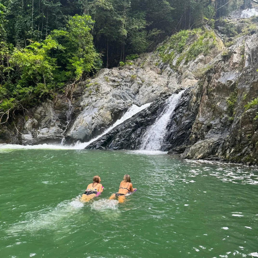 Daintree Waterfall Swim Walking Tour