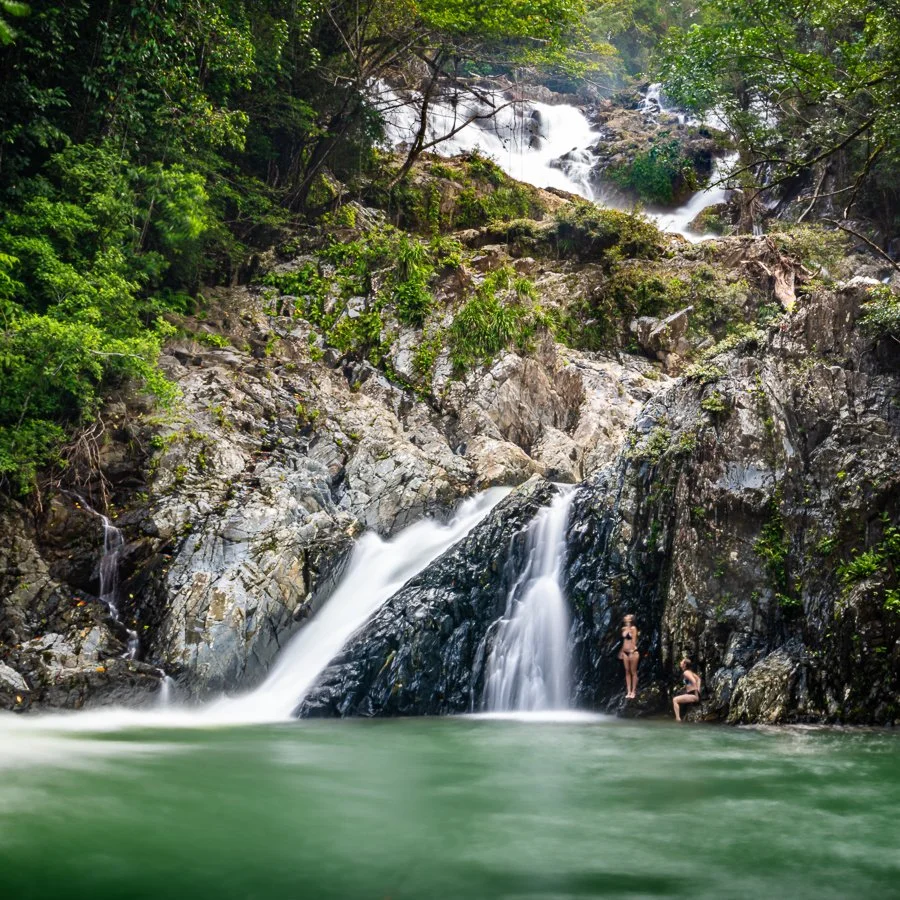 Daintree Rainforest Waterfall Swim