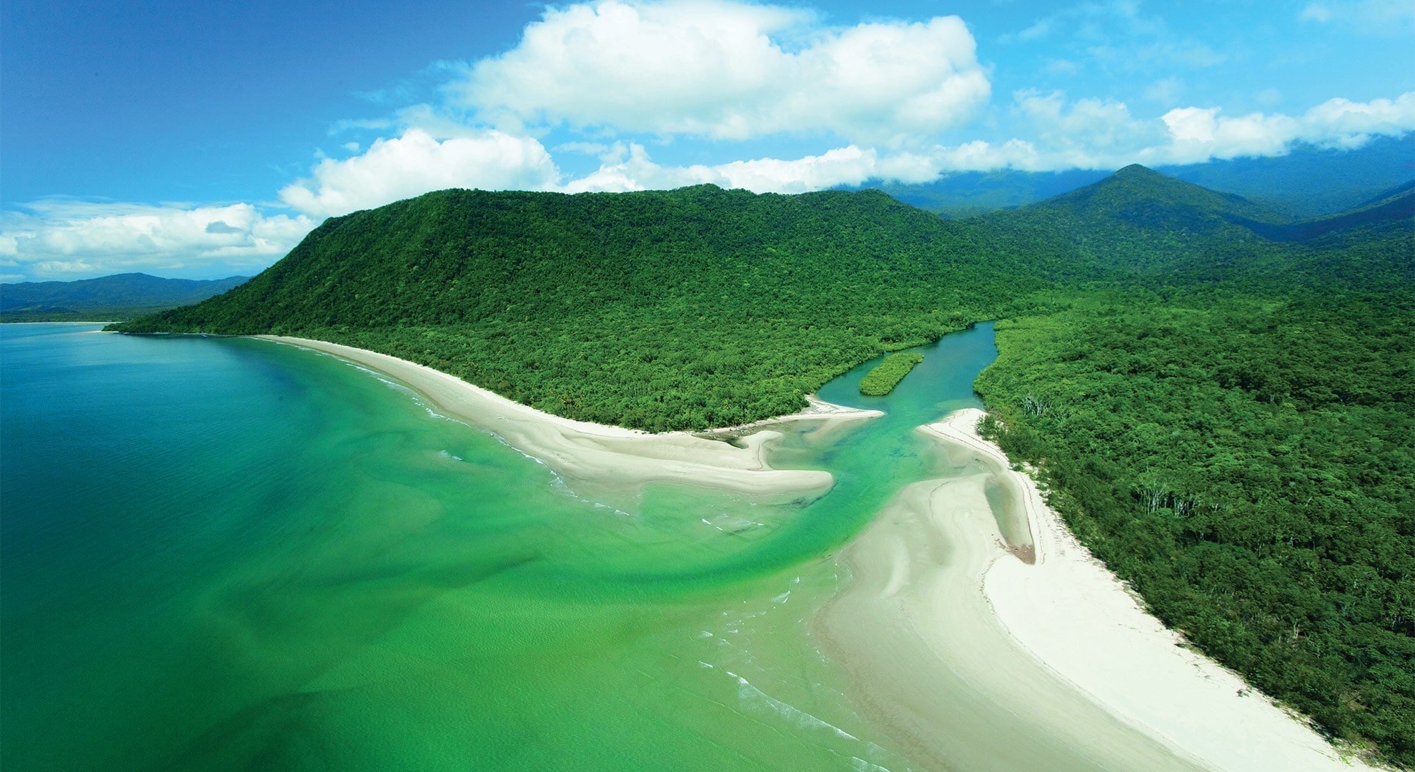 Guided Daintree Rainforest Walking Tours