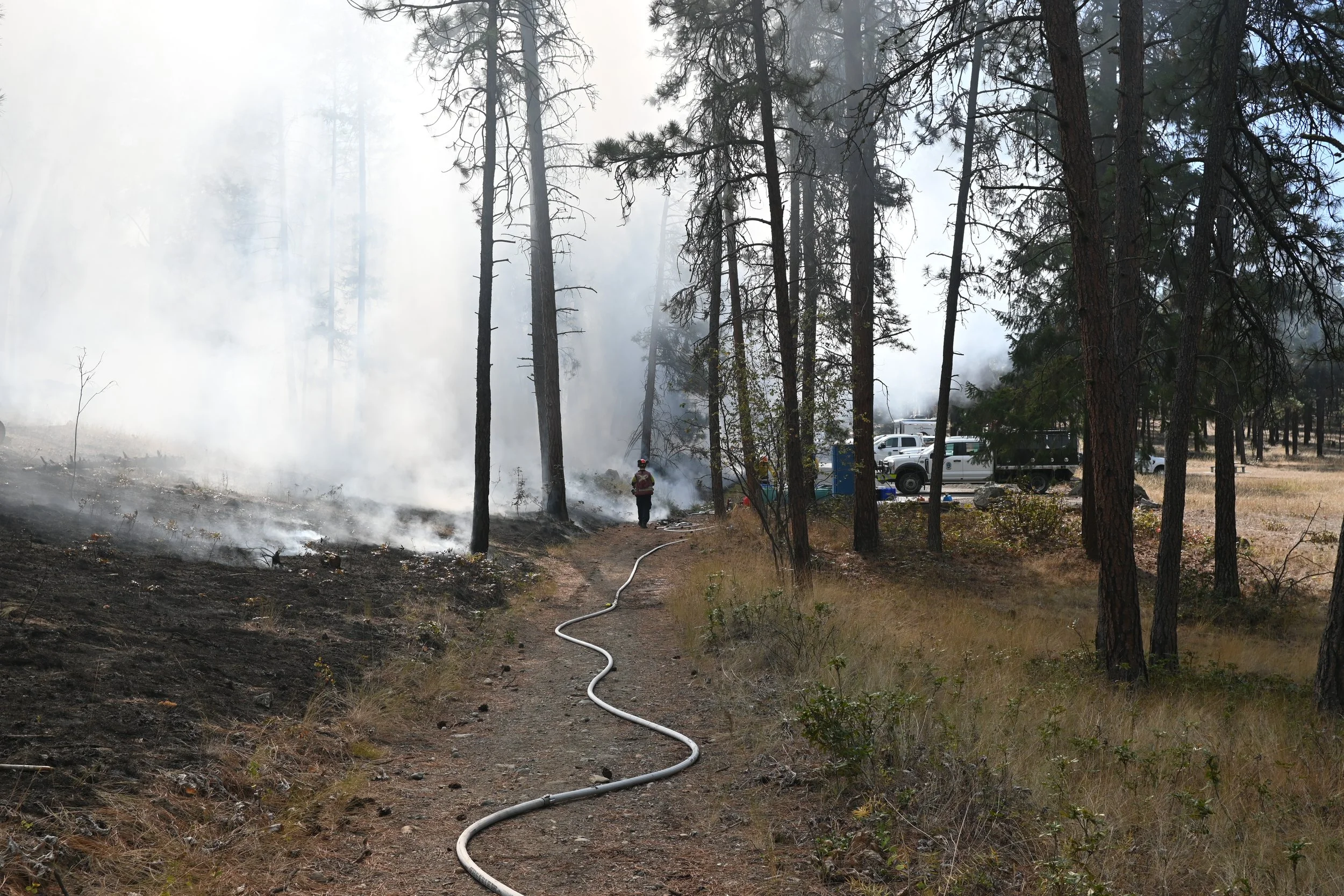 Self-Paced Online. RX-310 Introduction to Fire Effects