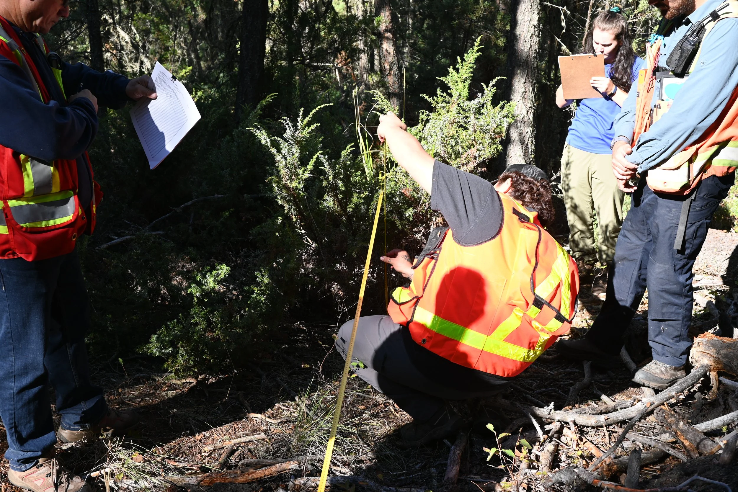 FNESS Fire Effects Monitoring 