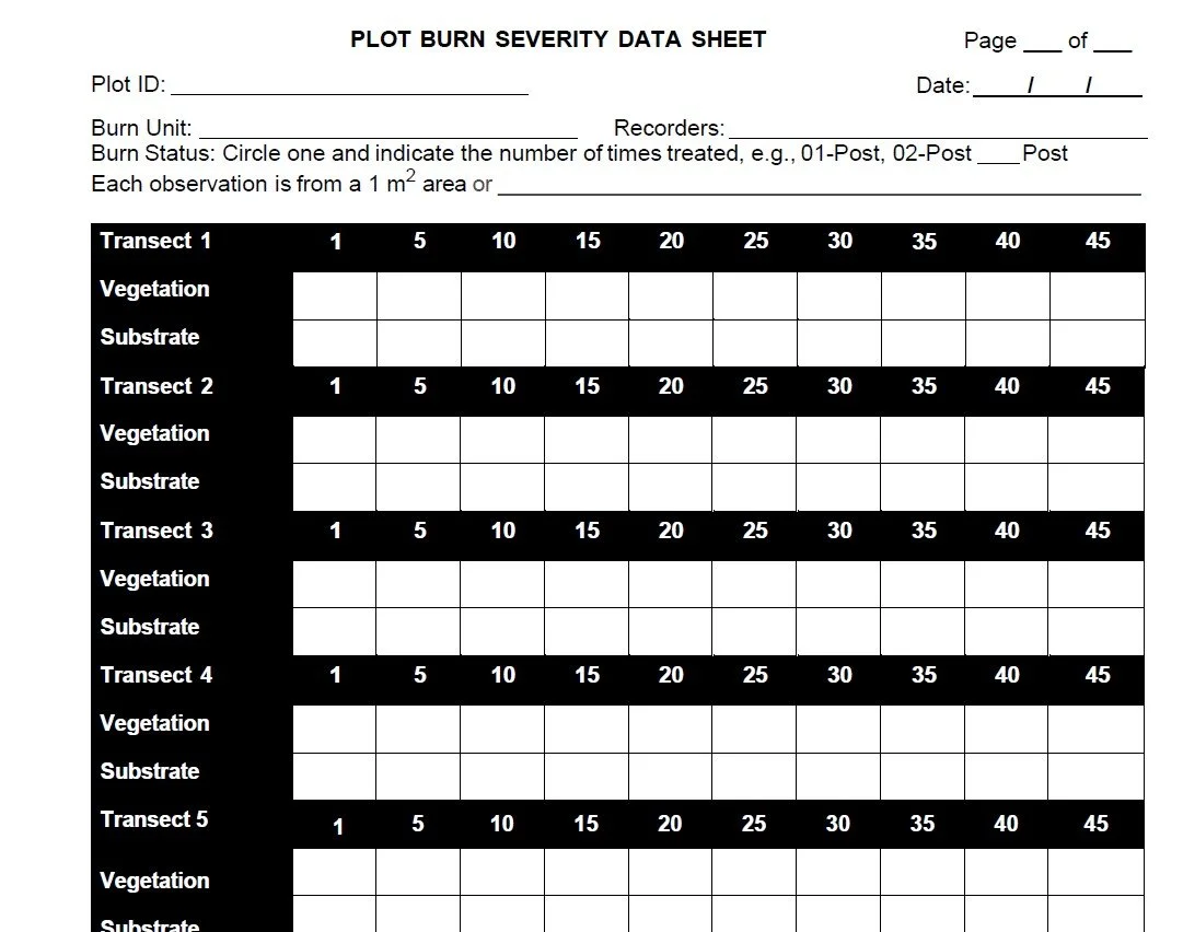 Burn Severity FMH