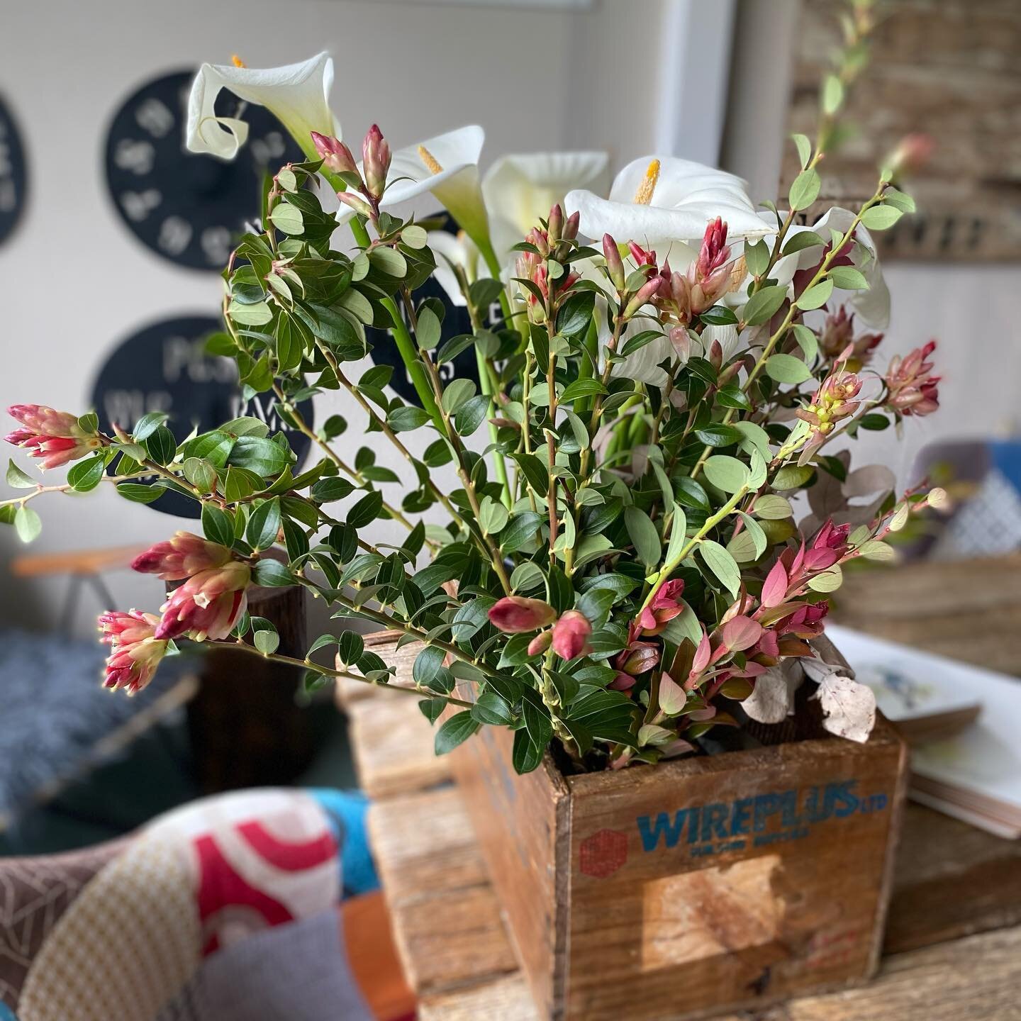 Love putting fresh flowers out for our arriving guests. #tepungafarming