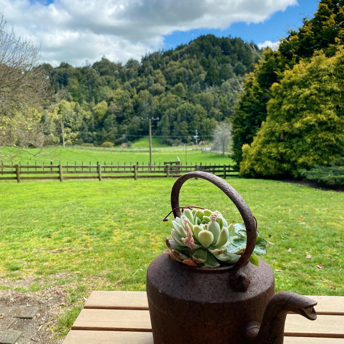 Loving the summer evenings. We have a few dates available from now till Christmas. Tui Ridge sleeps 10 guests over 4 bedrooms. Get in touch today and you to can enjoy the peaceful country life. #waikatoaccomodation #airbnbnz #nzaccommodation #escapea