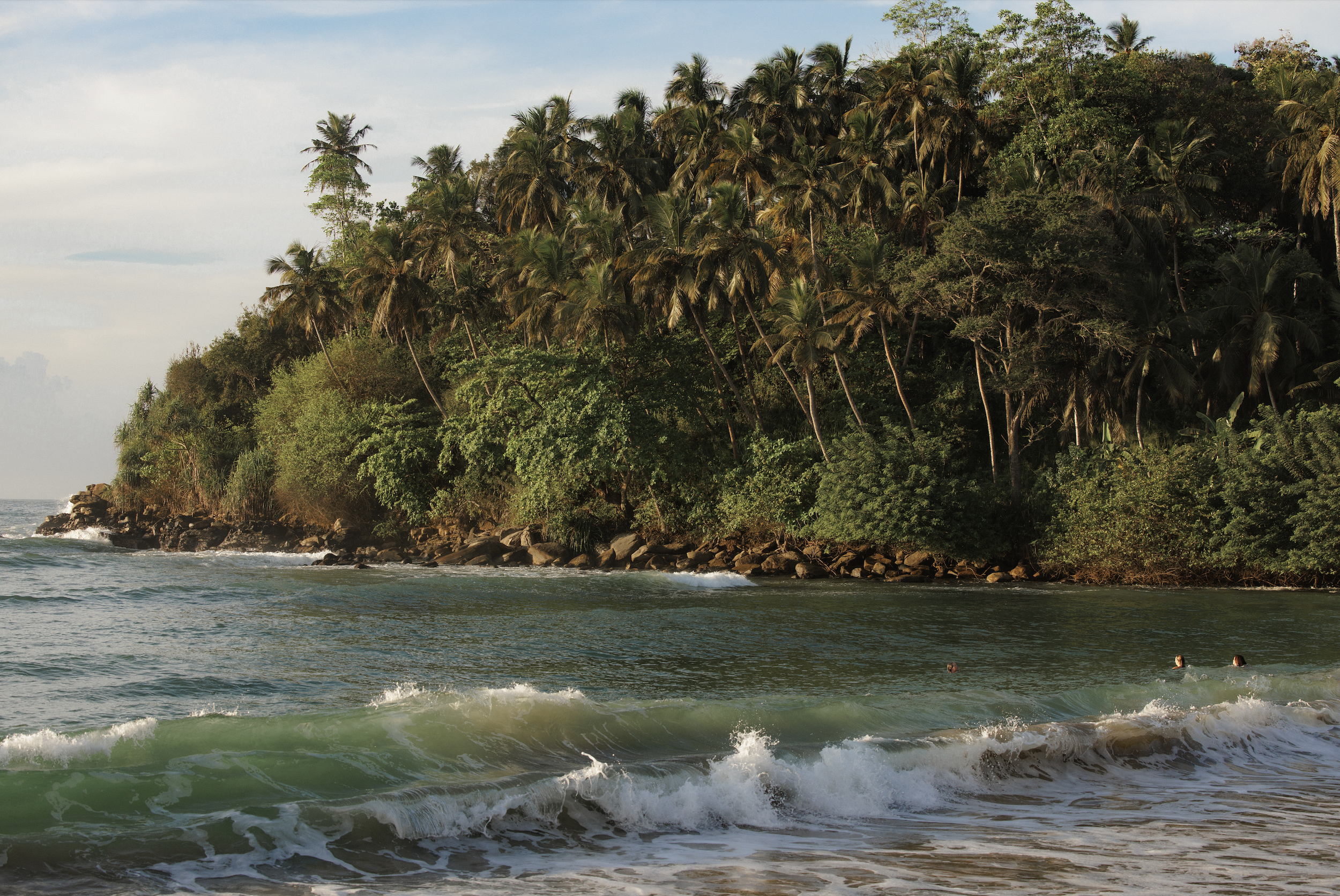 A tropical beach with green waves approaching the shore, a rocky shoreline, and a dense hillside filled with palm trees and lush vegetation.
