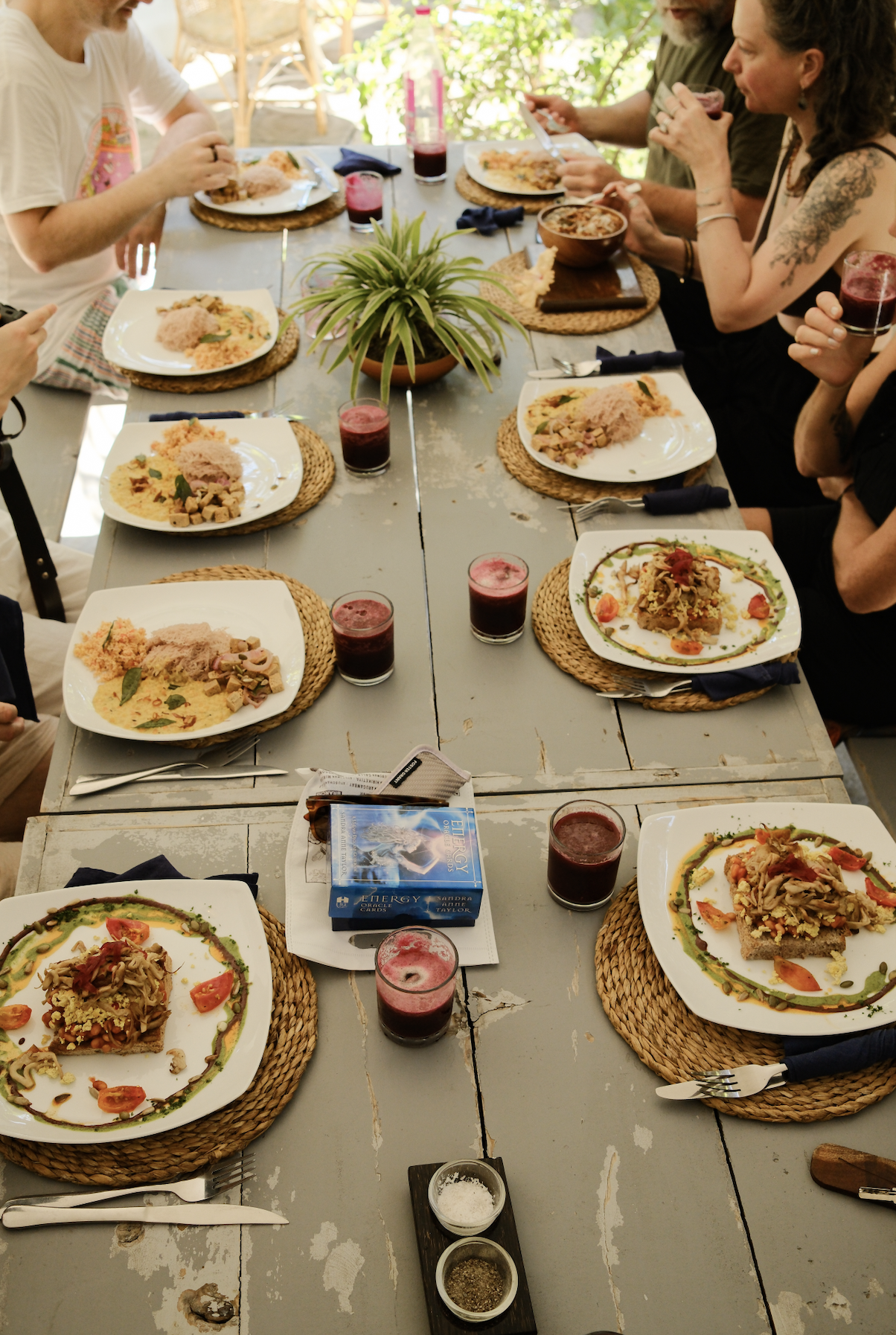 A group of people sitting around a rustic wooden table enjoying a meal. The table is set with plates of food, glasses of dark red juice, and a potted plant as a centerpiece.