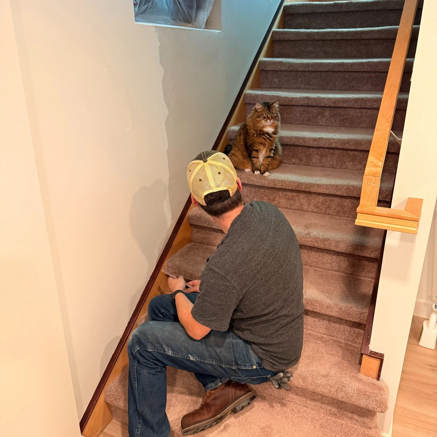 We're putting the finishing touches on the Nautical Basement Remodel this week, and a surprise supurrrvisor just showed up to ensure we're putting his place back together in a purrrfect manor! 
🥰😆

#basementremodel #generalcontractor #minnesota #mi