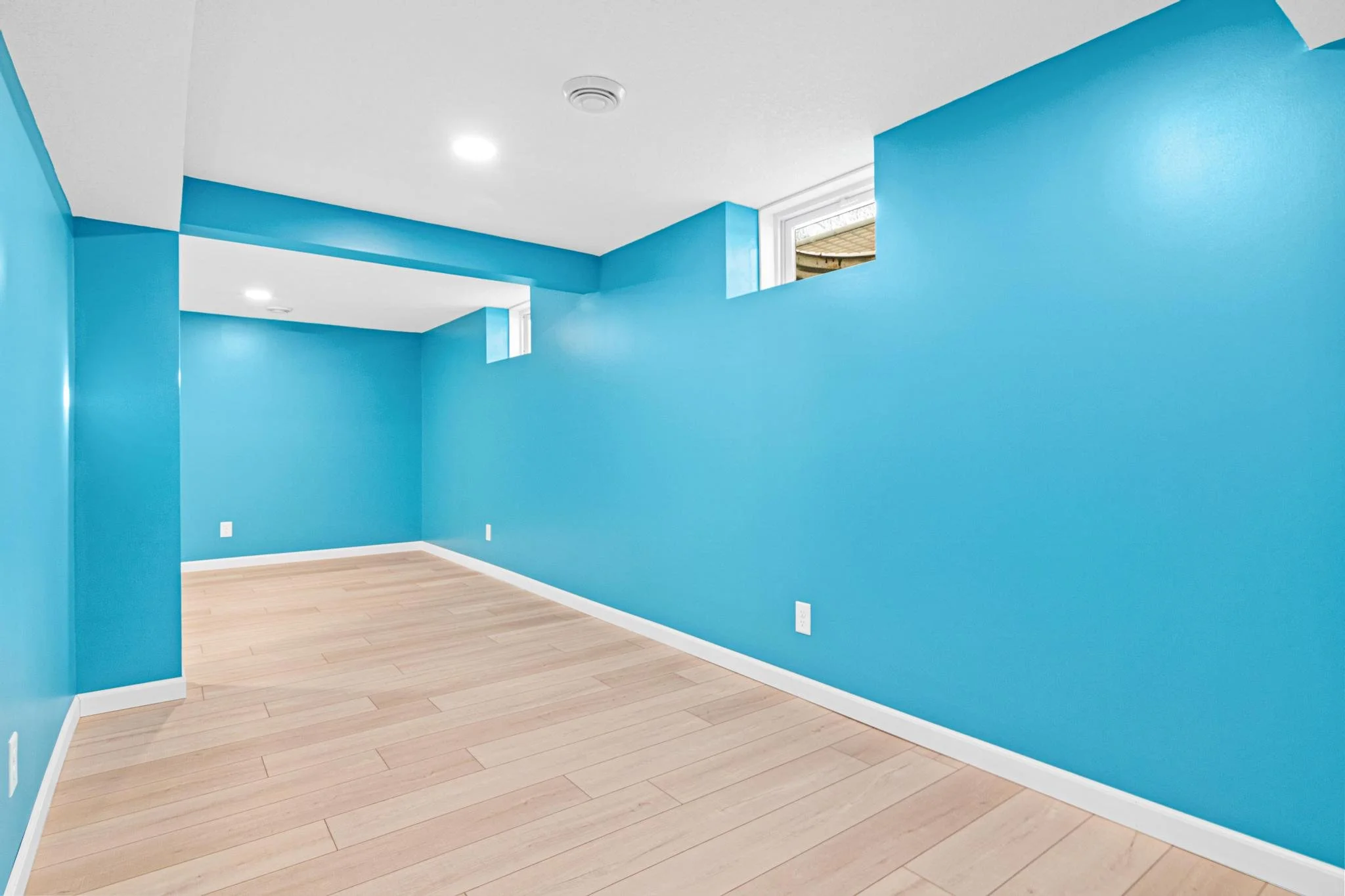 1955 Basement Finish in Coon Rapids, MN