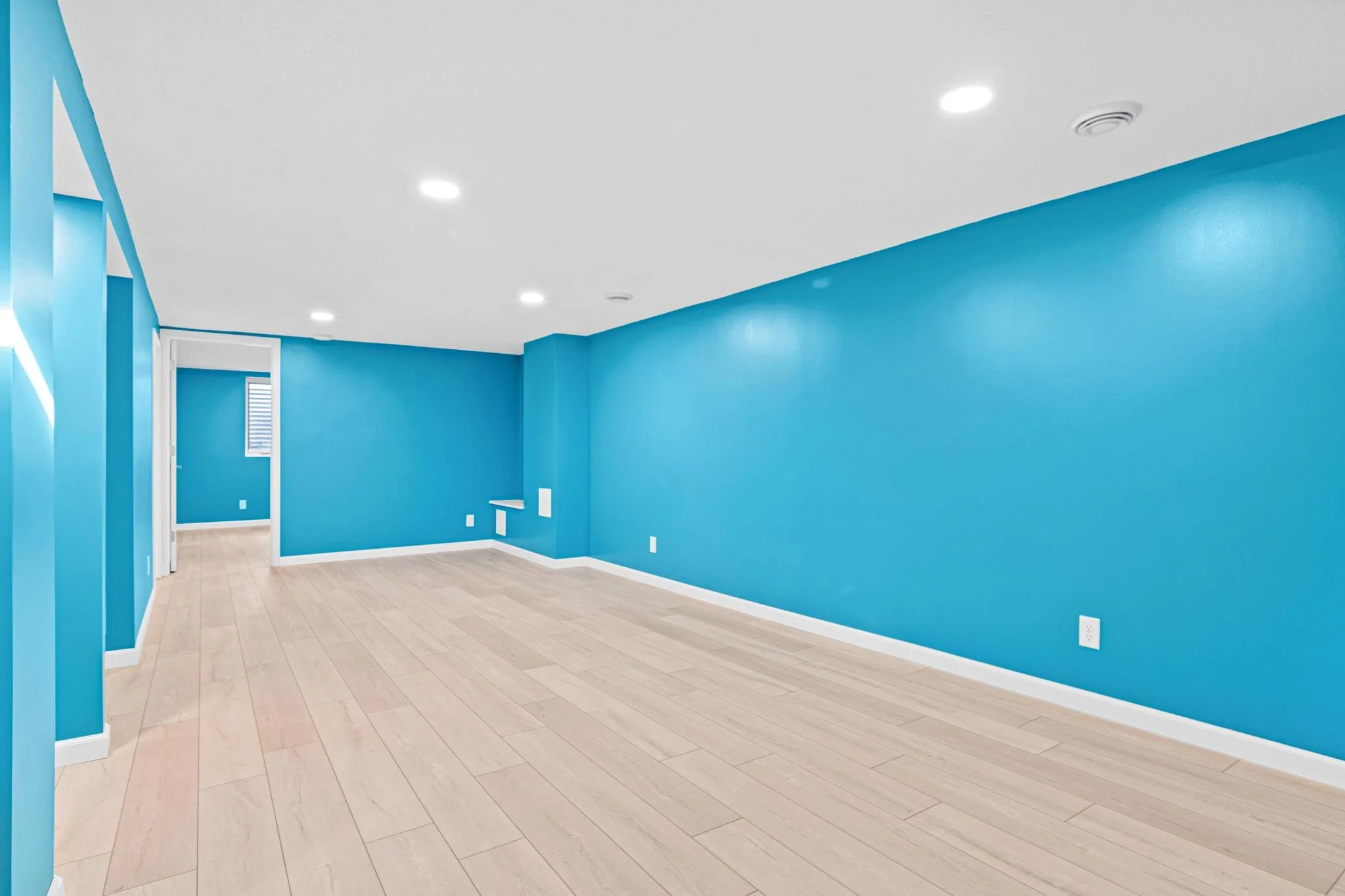 1955 Basement Finish in Coon Rapids, MN