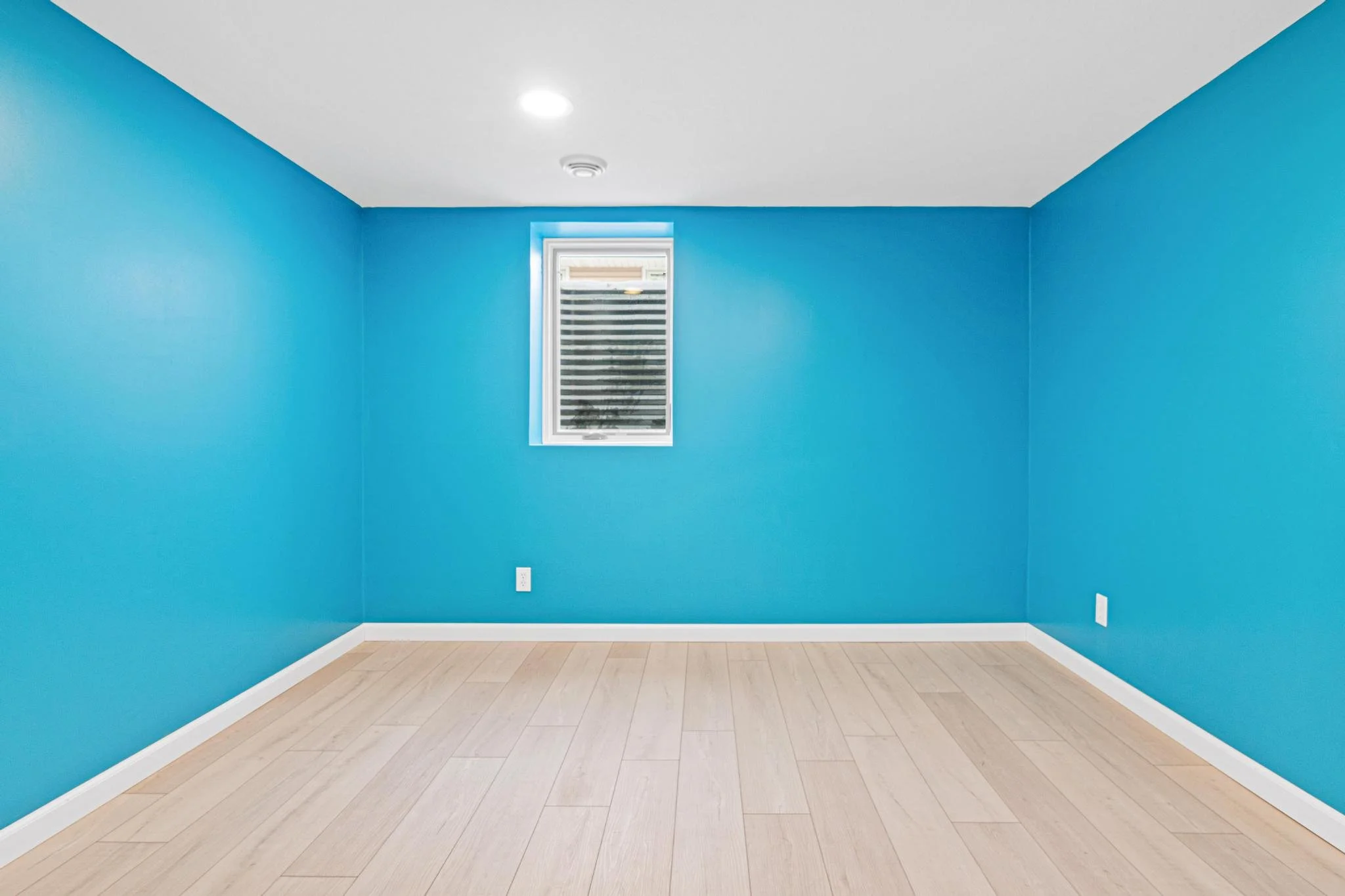 1955 Basement Finish in Coon Rapids, MN