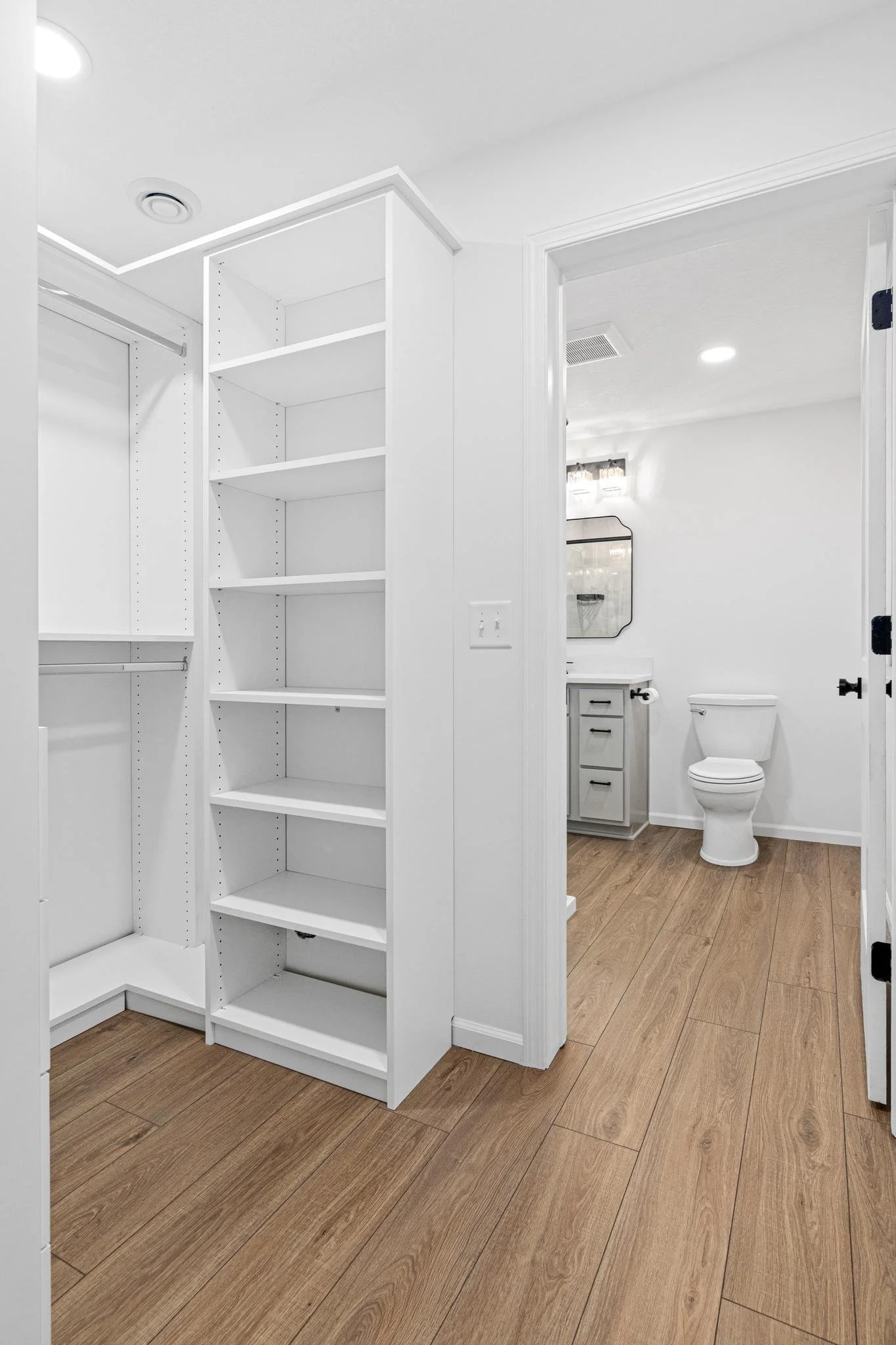 Master Bathroom and Closet Remodel in Ramsey, MN