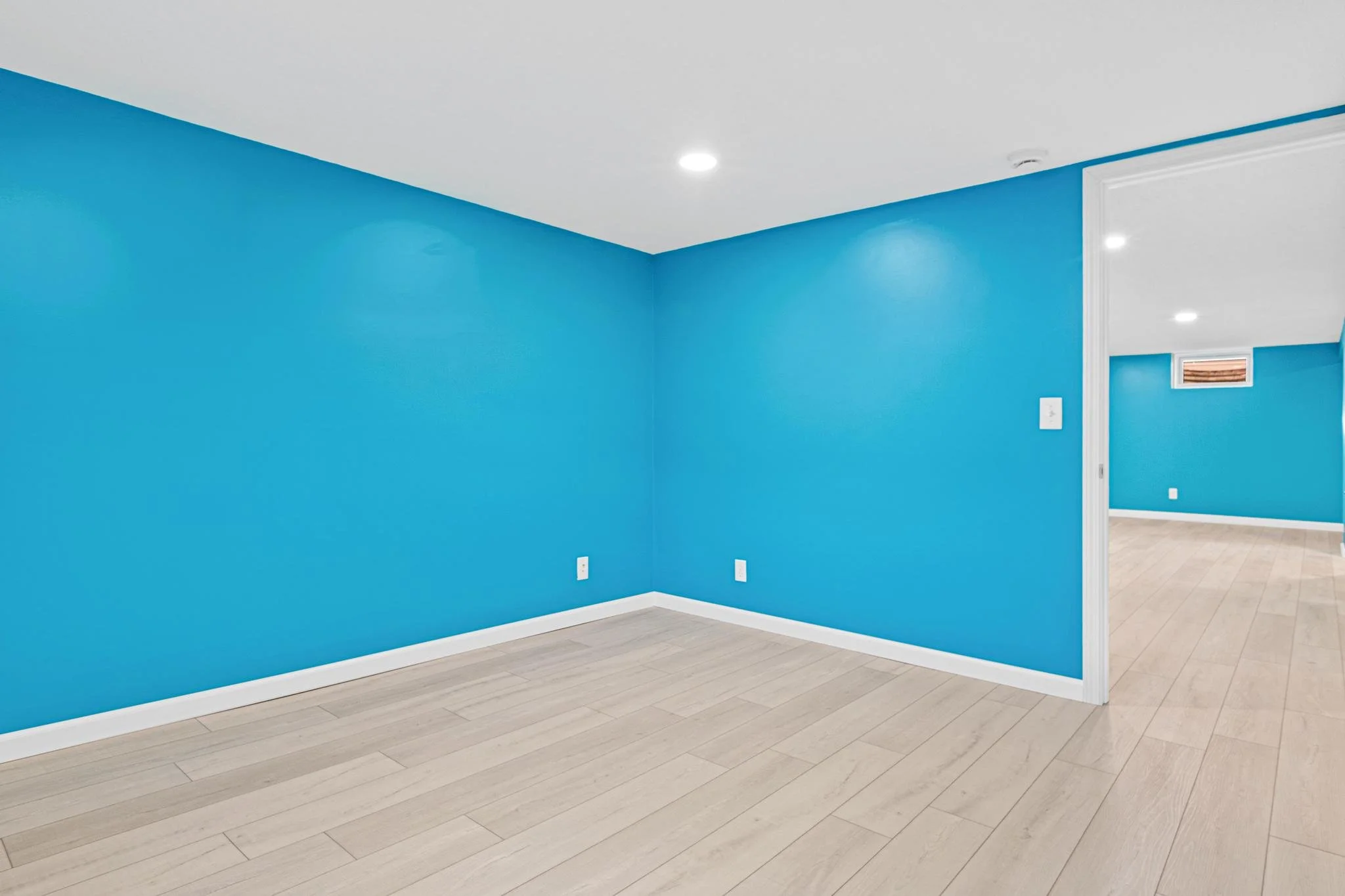 1955 Basement Finish in Coon Rapids, MN