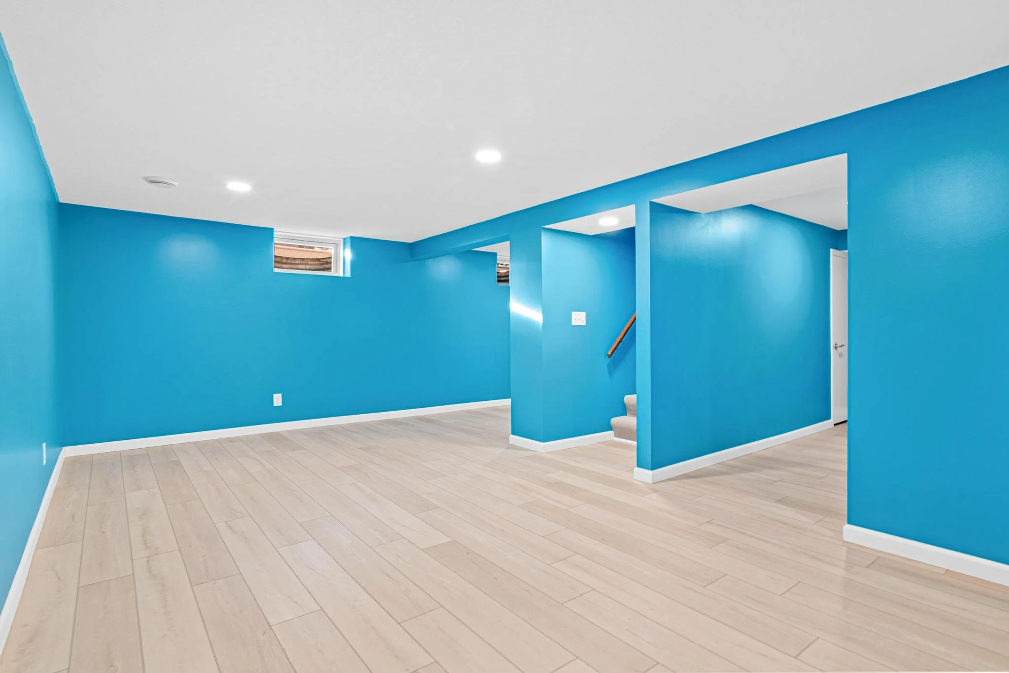 1955 Basement Finish in Coon Rapids, MN