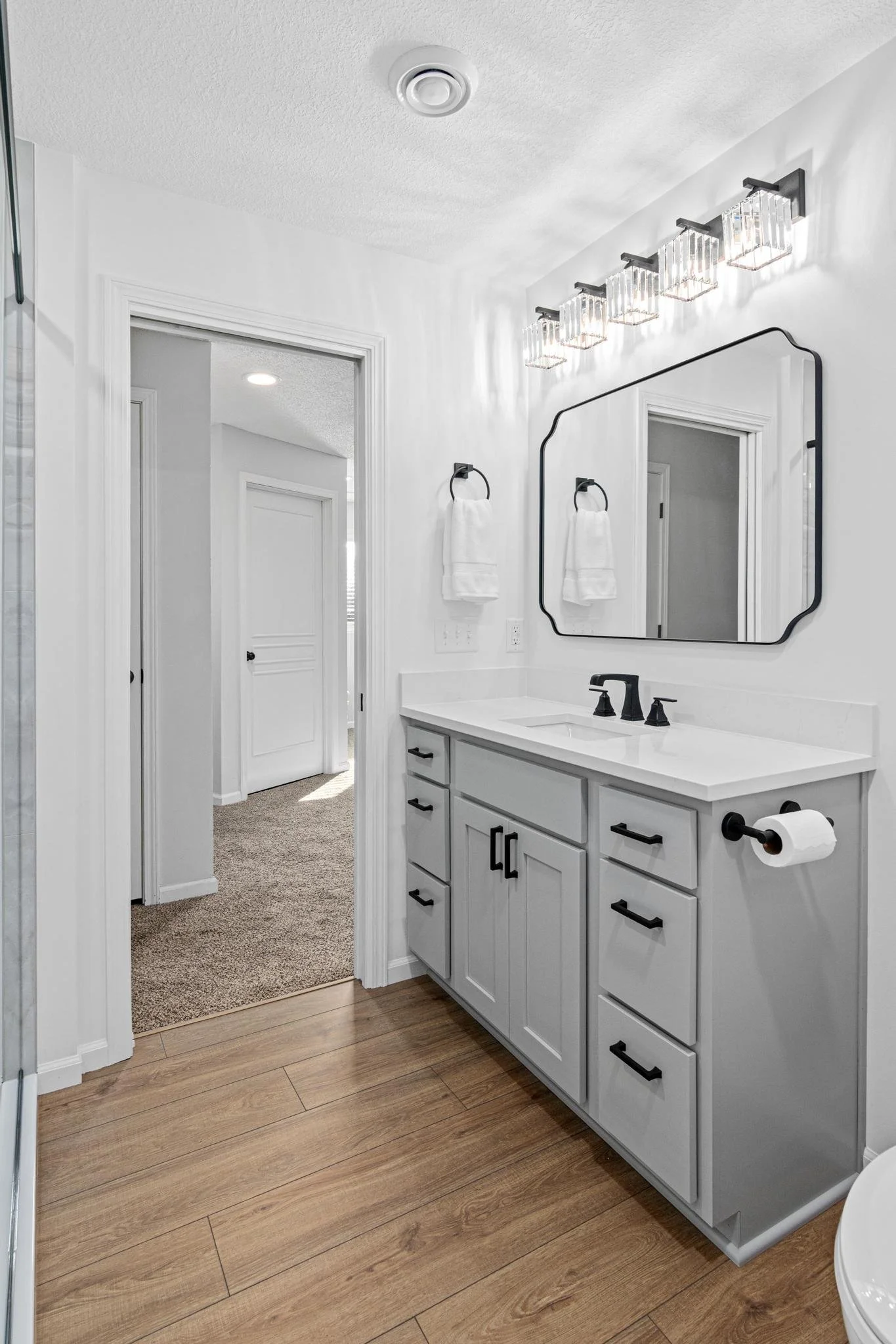 Master Bathroom and Closet Remodel in Ramsey, MN