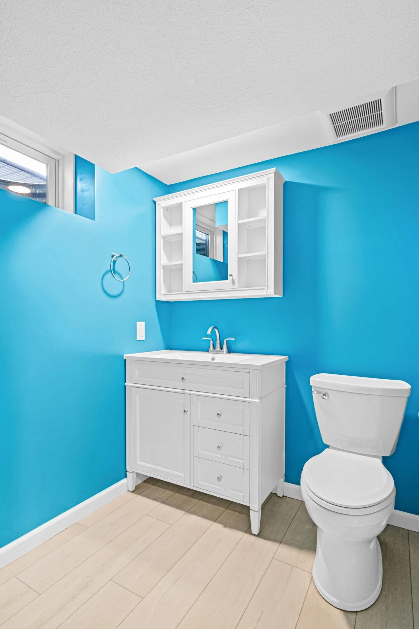 1955 Basement Finish in Coon Rapids, MN