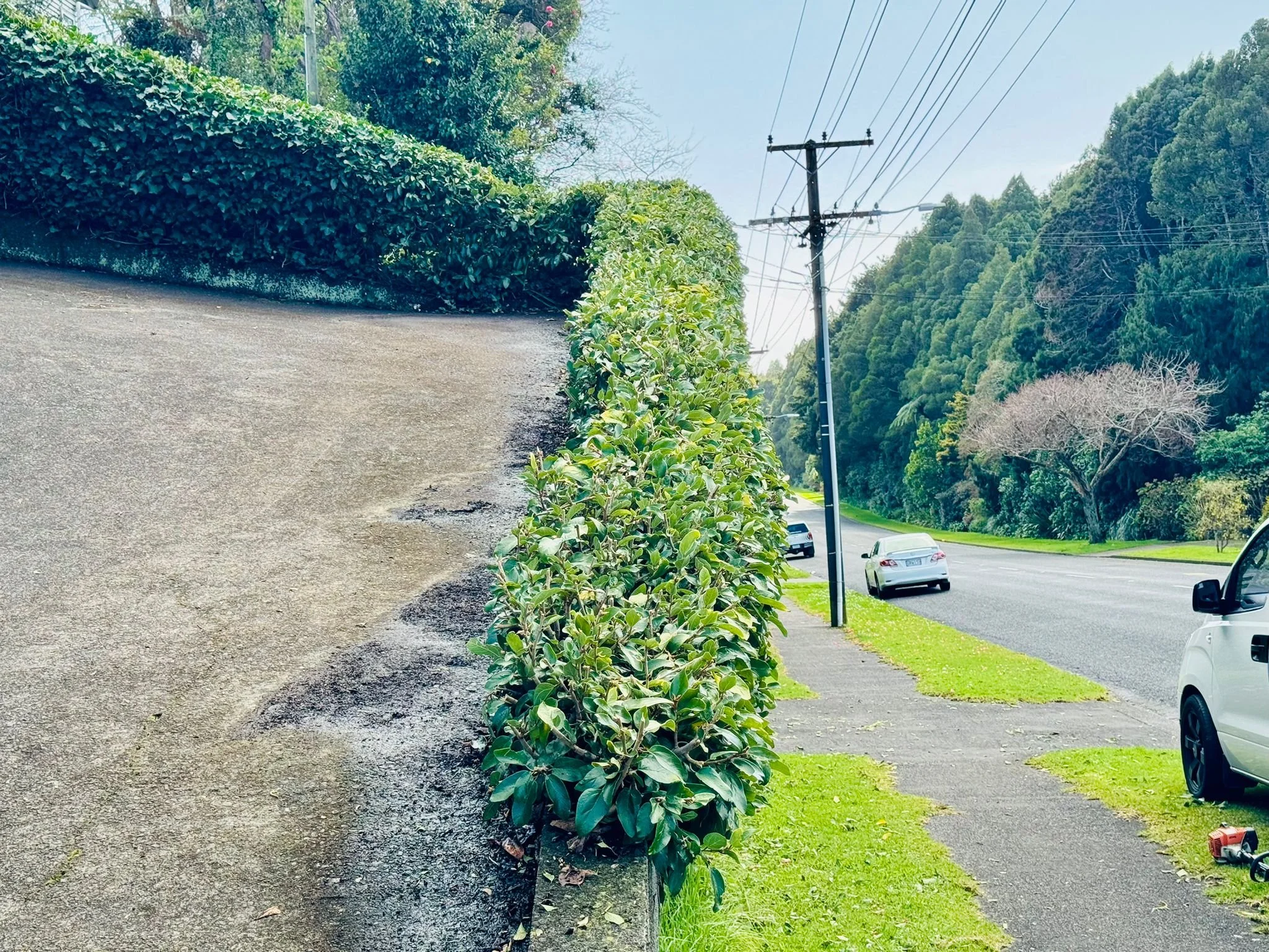 Sidewalk with a hedge along the edge, utility poles and power lines, parked cars, grassy area, trees, and a hill with a dense forest in the background.