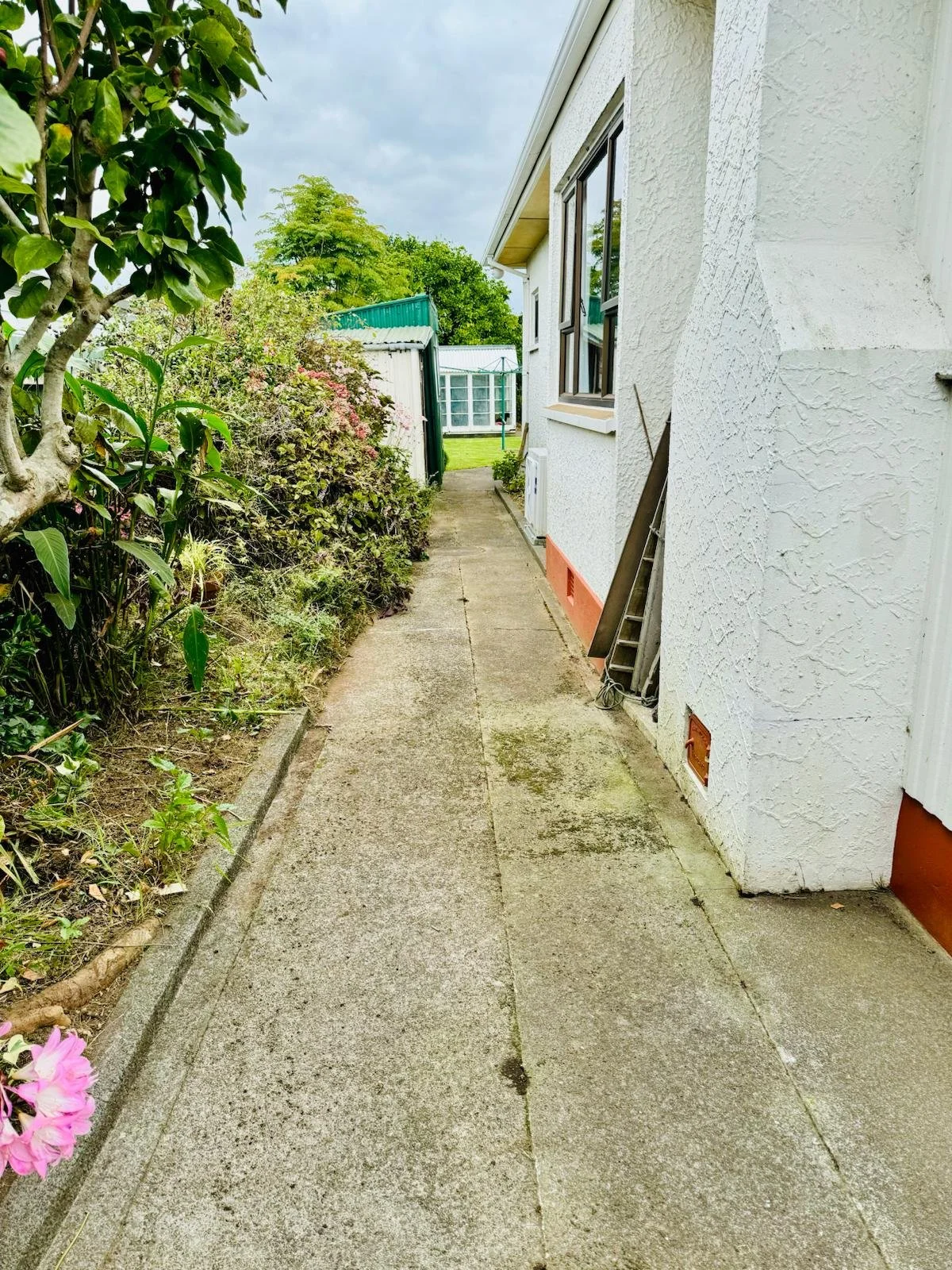 A concrete walkway alongside a white house with a textured exterior wall, windows, and some construction tools leaning against the wall. On the left, there is a garden with green bushes and a small tree, and beyond the walkway is a grassy yard with a shed and a greenhouse in the background.
