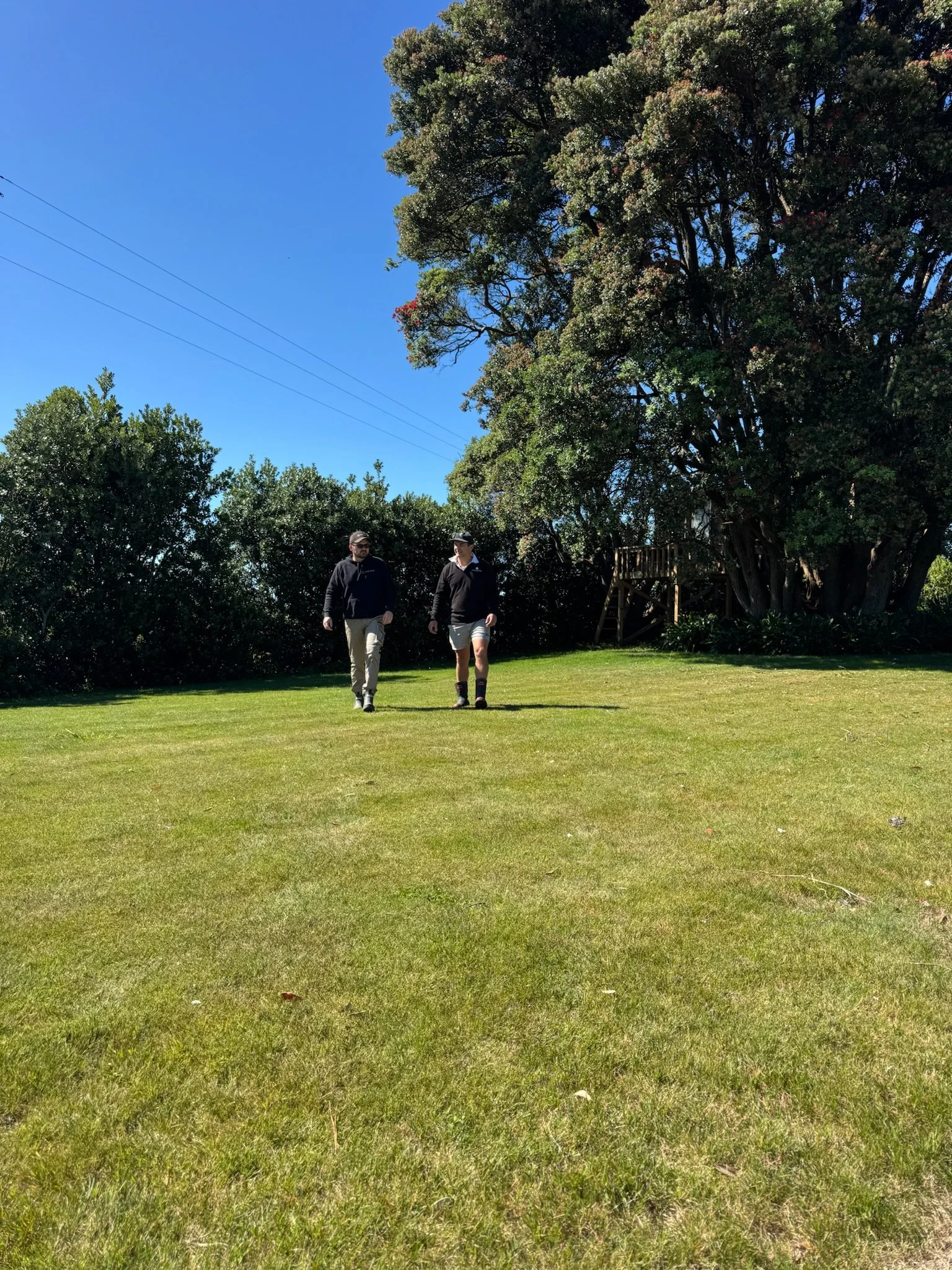 Business owner, James, and a client walking on a grassy field with large trees and bushes in the background under a clear blue sky