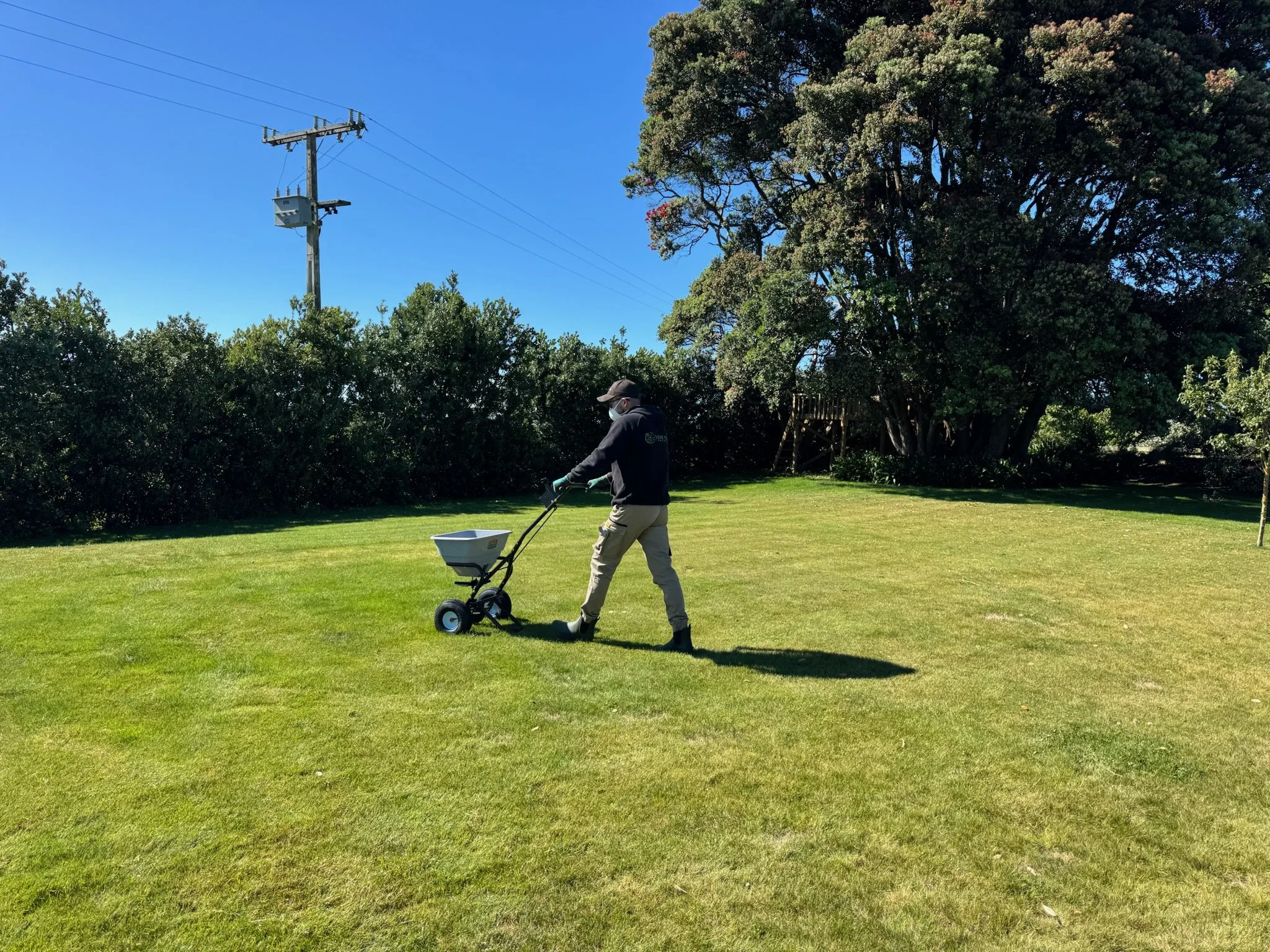 Person walking across a grassy field with a push lawn aerator, surrounded by trees and bushes under a blue sky.