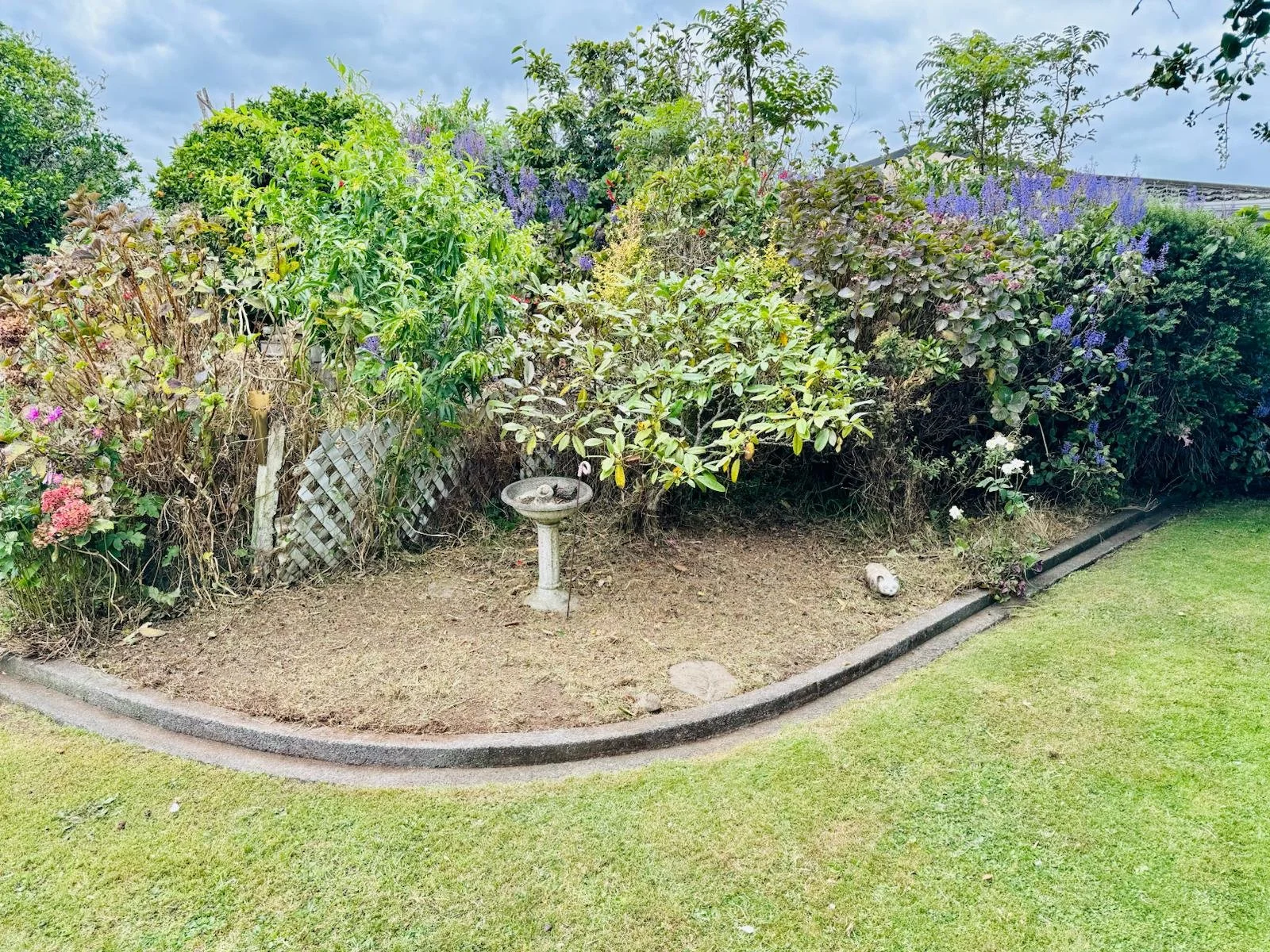 A small garden area with a birdbath, surrounded by various green bushes and flowering plants, bordered by a low stone edge and a grassy lawn.