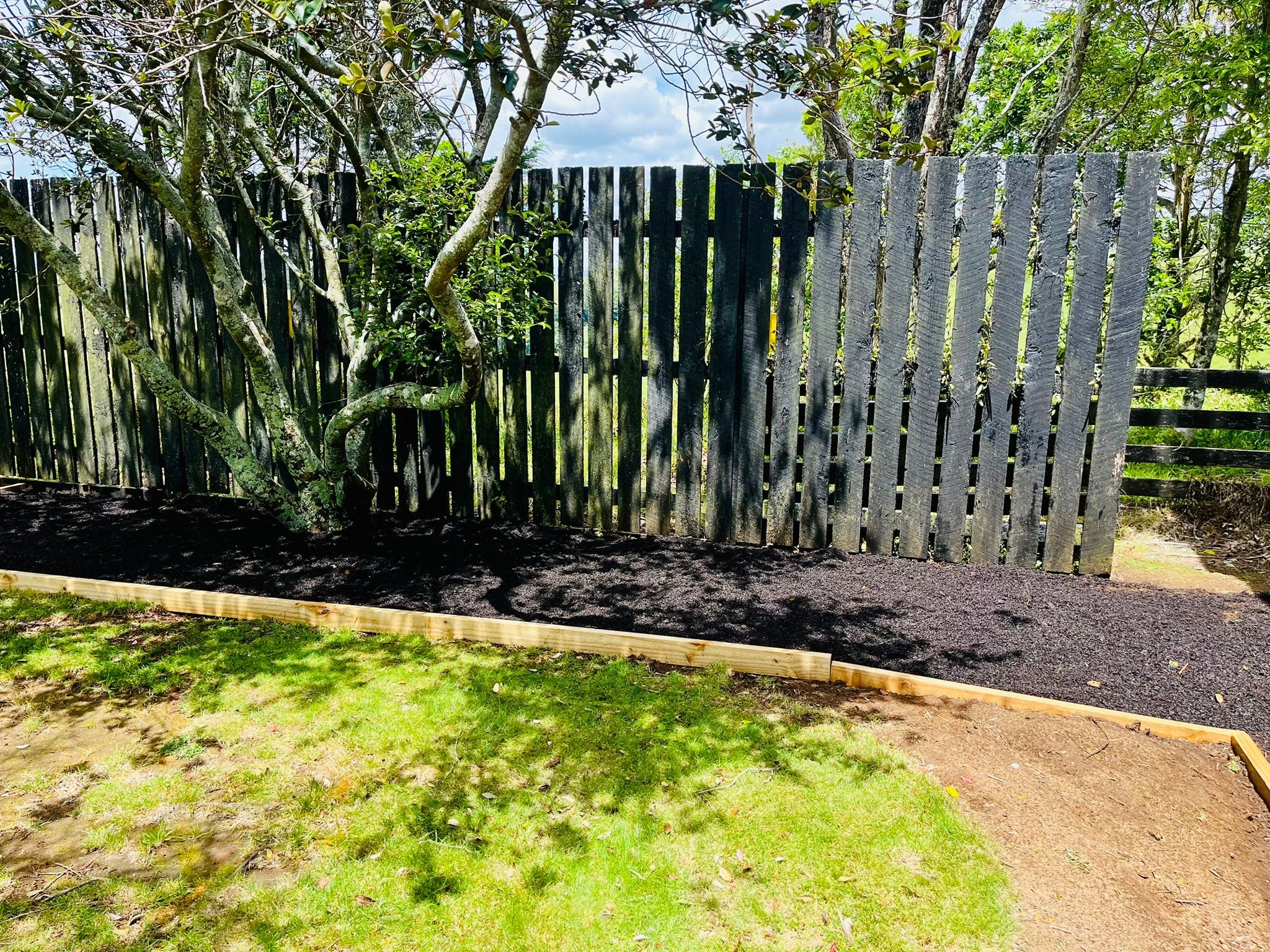 Newly landscaped backyard with a tree, black mulch, a wooden border, and a weathered black wooden fence.