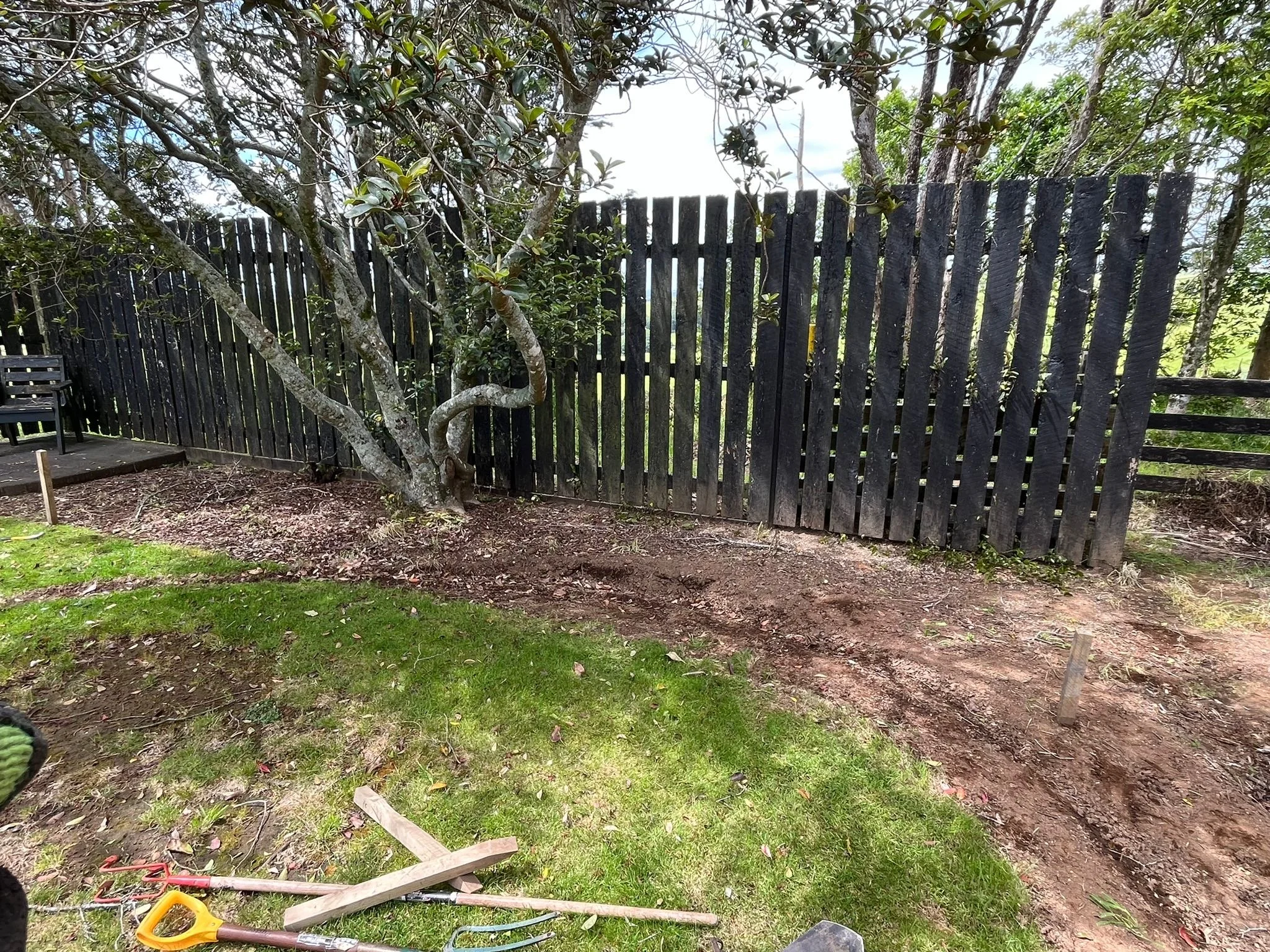 A backyard with a black wooden fence, a small tree, a patch of green grass, and some gardening tools on the ground.