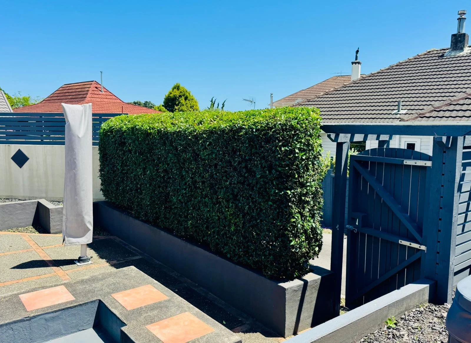 A fenced backyard with a trimmed hedge, a blue wooden gate, and a patio area with paving stones under a clear blue sky.