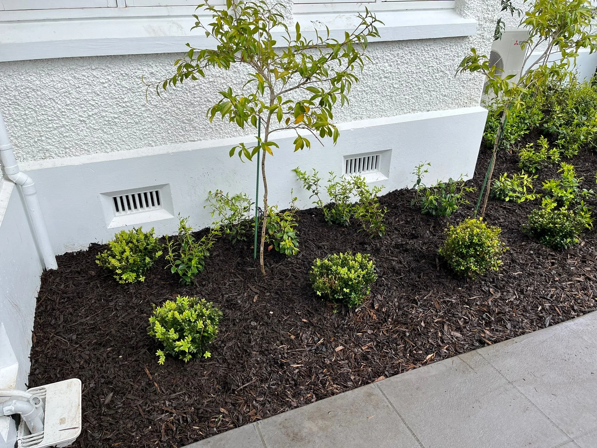 A small landscaped garden bed with mulch, featuring a young tree and several small bushes, next to a white building with small vents and an air conditioning unit.