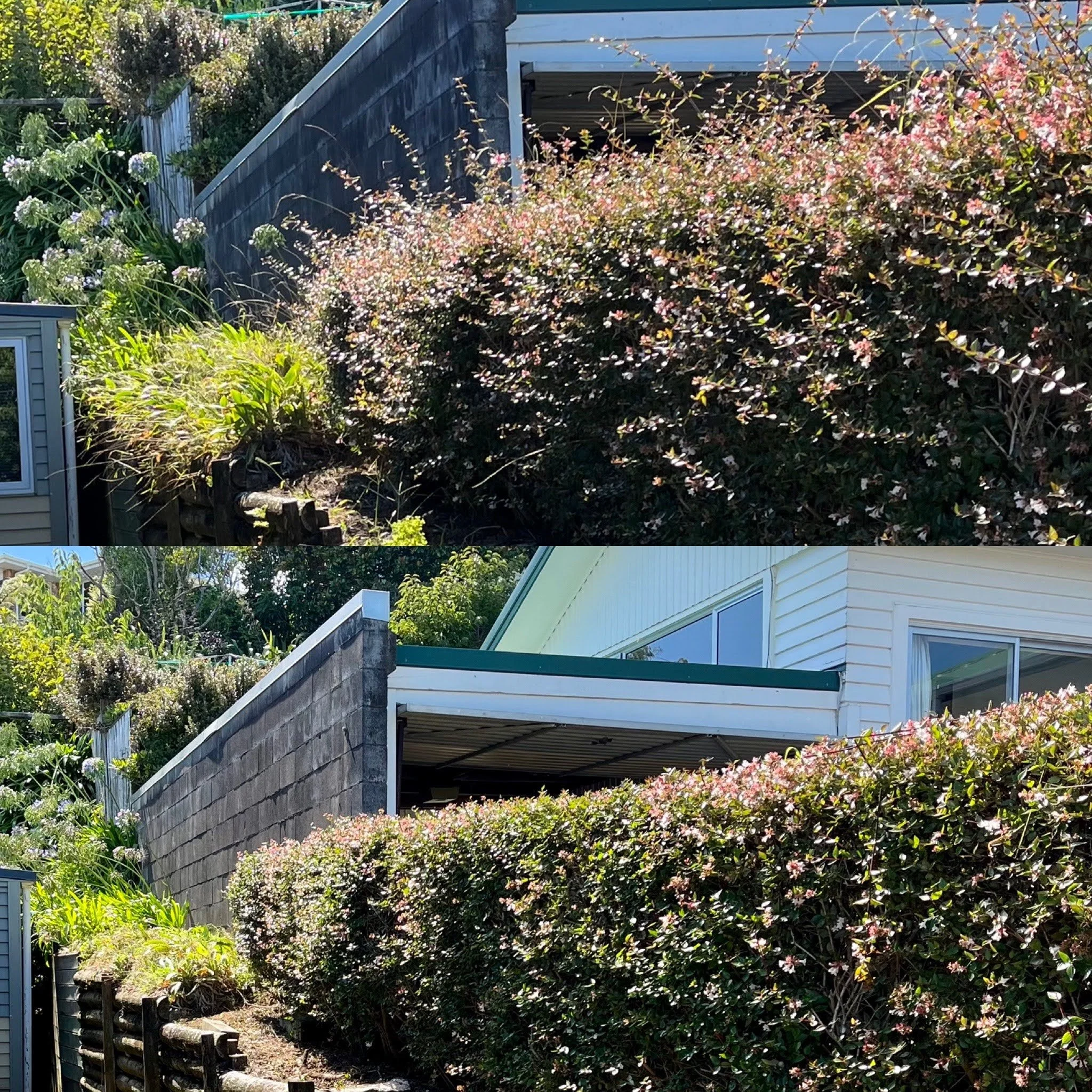 Comparison of two images showing a backyard with bushes and a house, with the second image appearing sharper and clearer than the first.