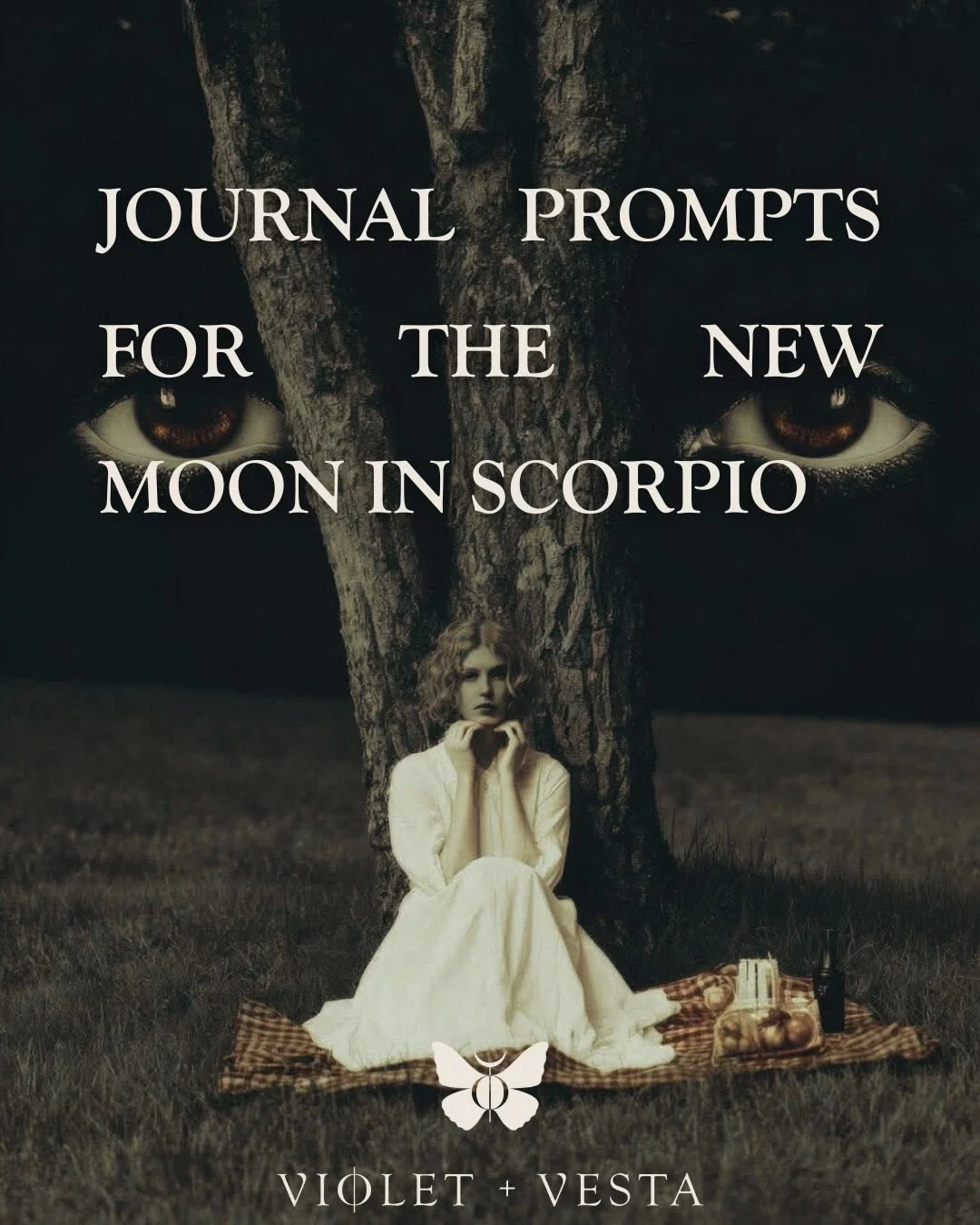 Slide 5 is 🗝️

Which slide fits your vibe?

If you like these, check out my latest blog on the Scorpio new moon - freshly released on my website! I write a blog for every lunation (because duh) if you&rsquo;re a reader more than a listener! Oh shit 