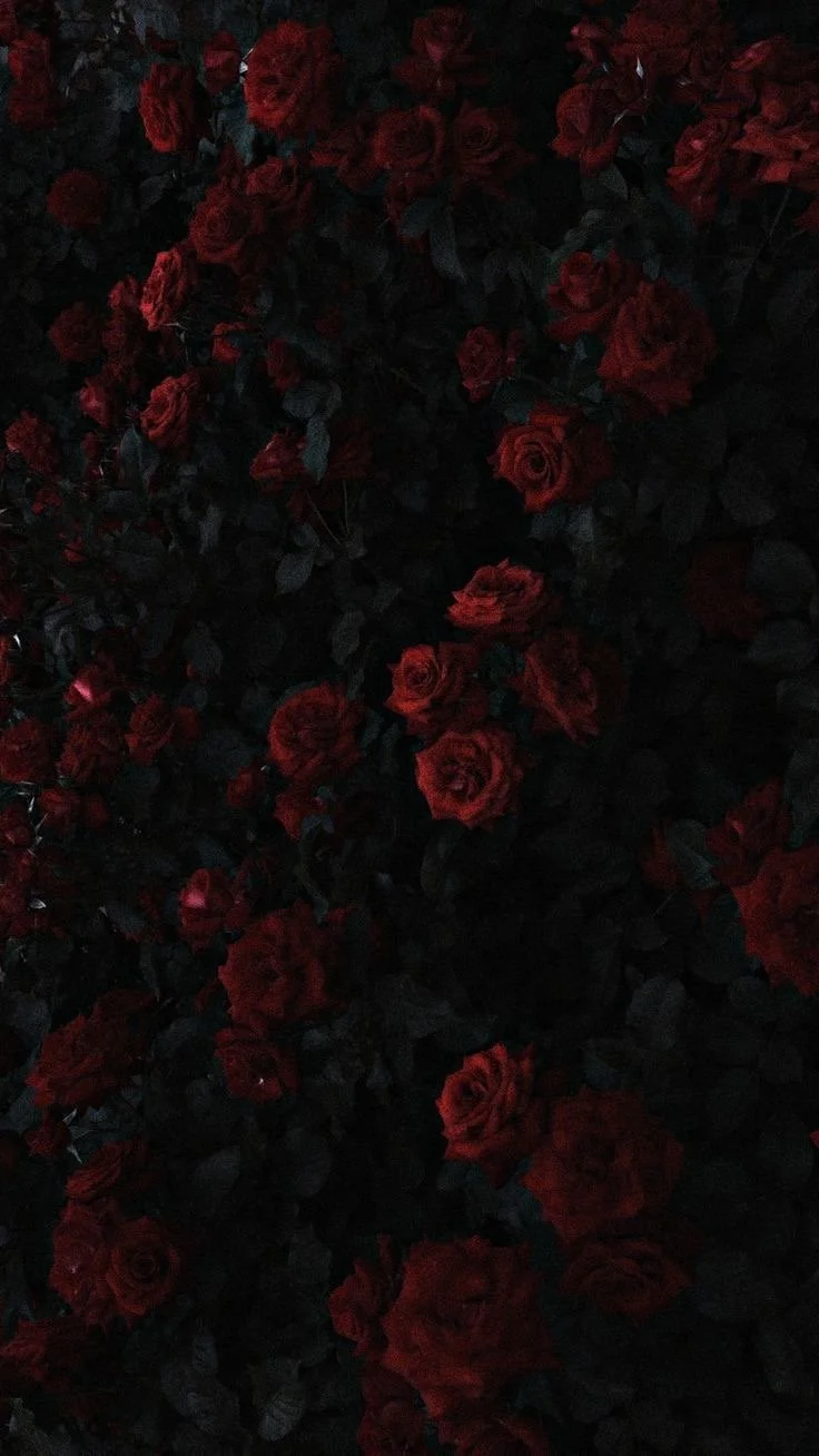 The Dangerous Things We Desire: Venus + Mercury Retrograde in Scorpio