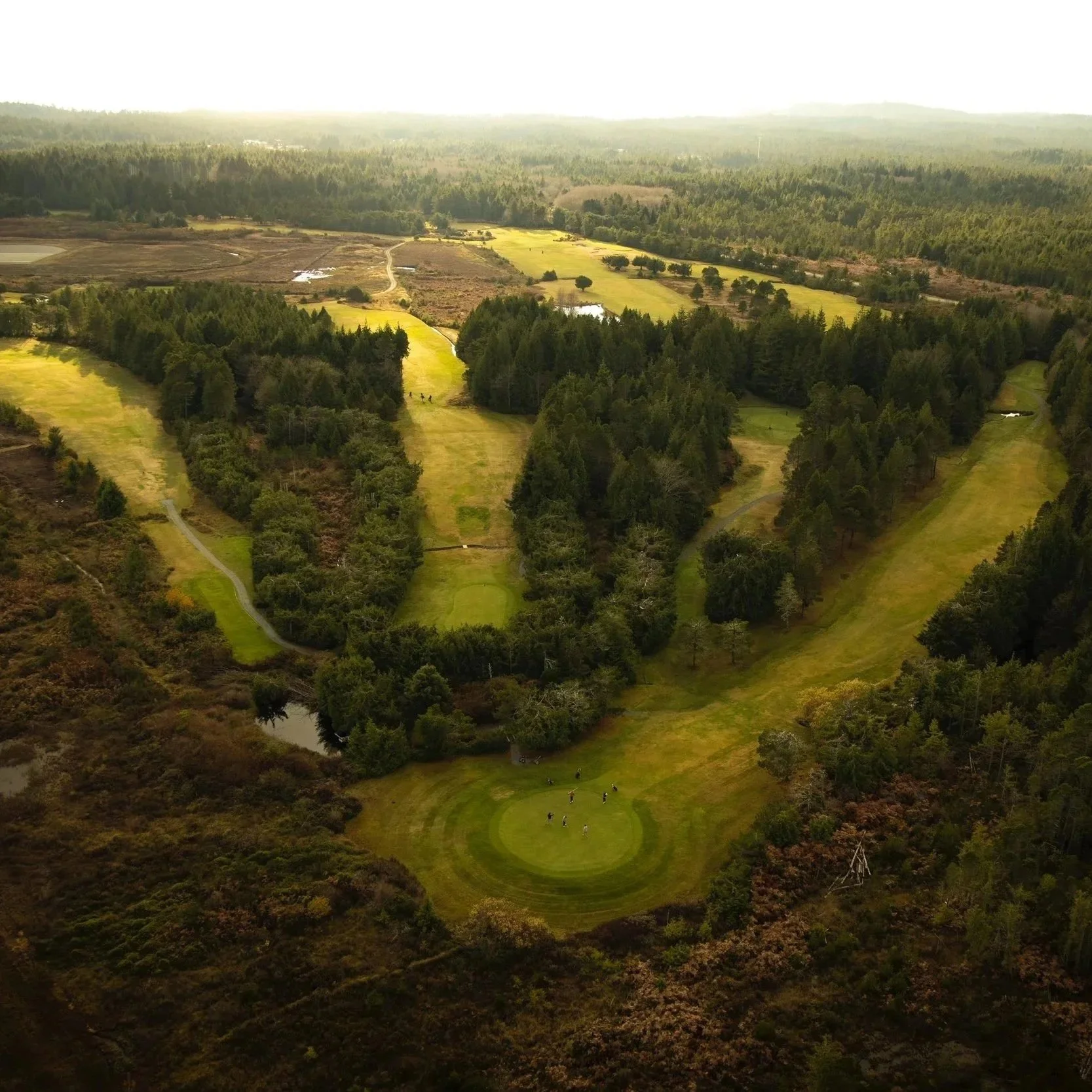 golf course newbie.jpg