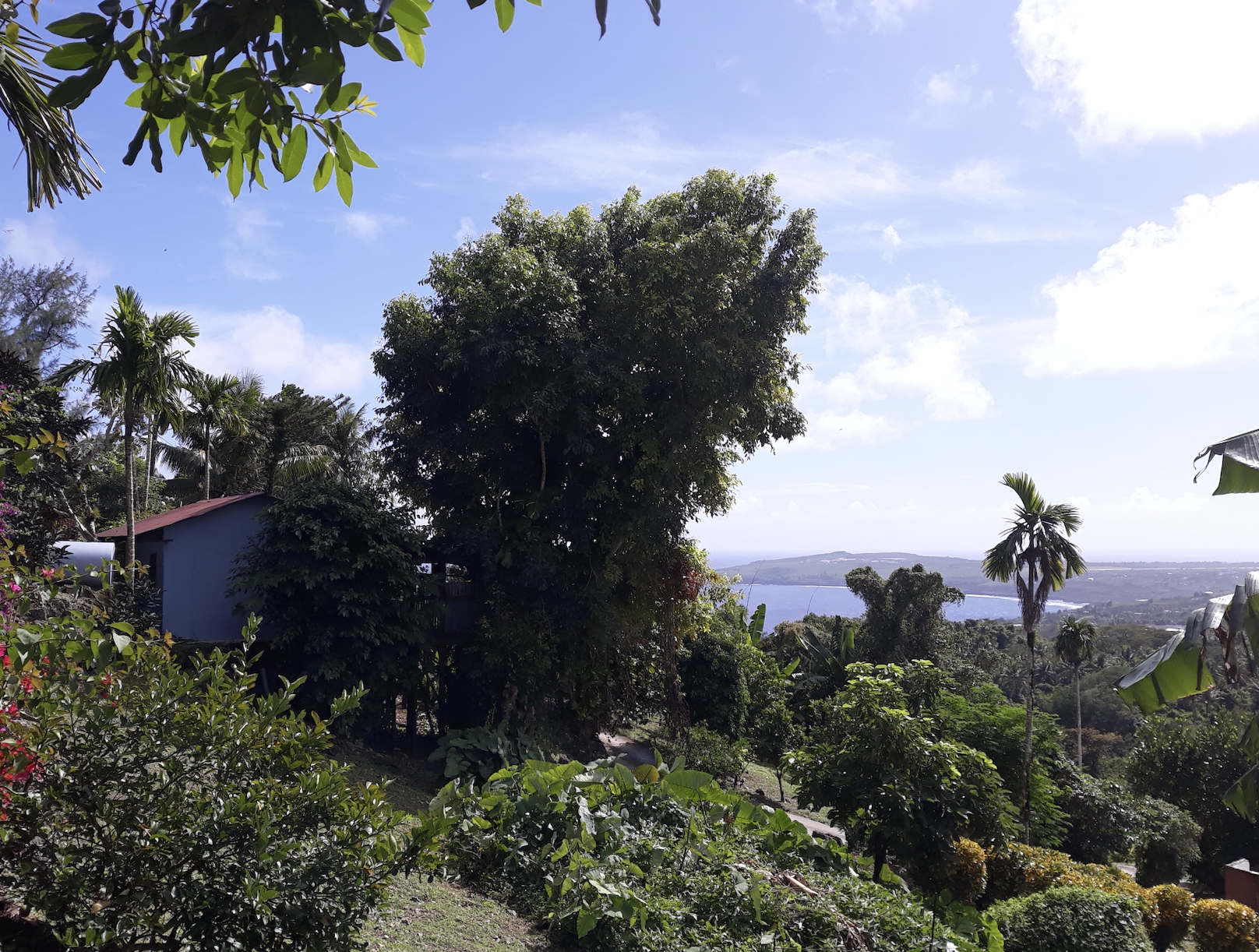 Screenshot 2025-06-06 at 2.39.24 PM.png