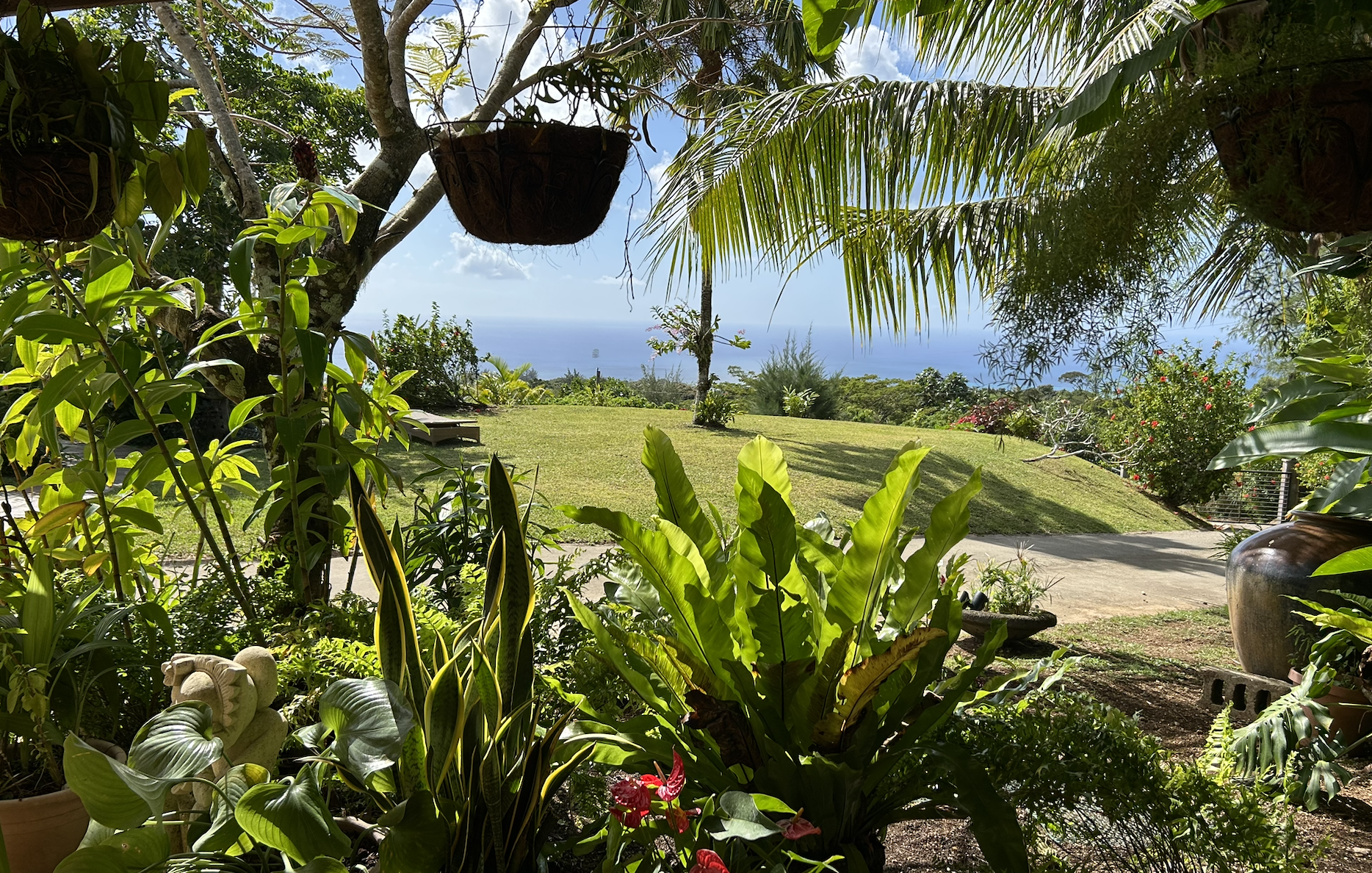 Screenshot 2025-06-22 at 1.47.49 PM.png