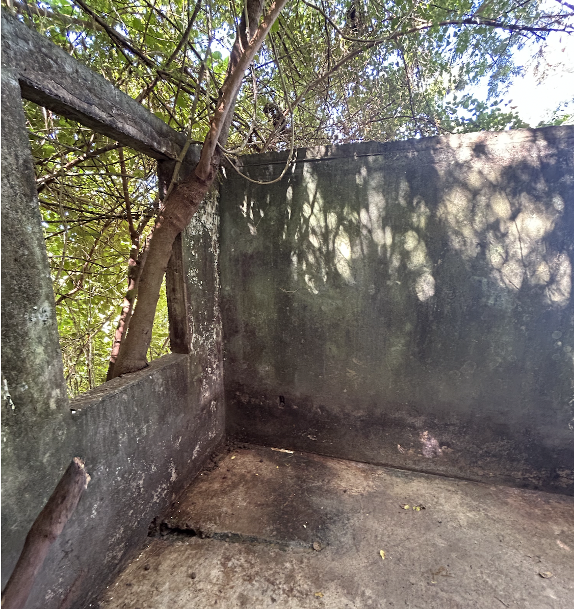 Screenshot 2025-03-01 at 4.43.06 PM.png