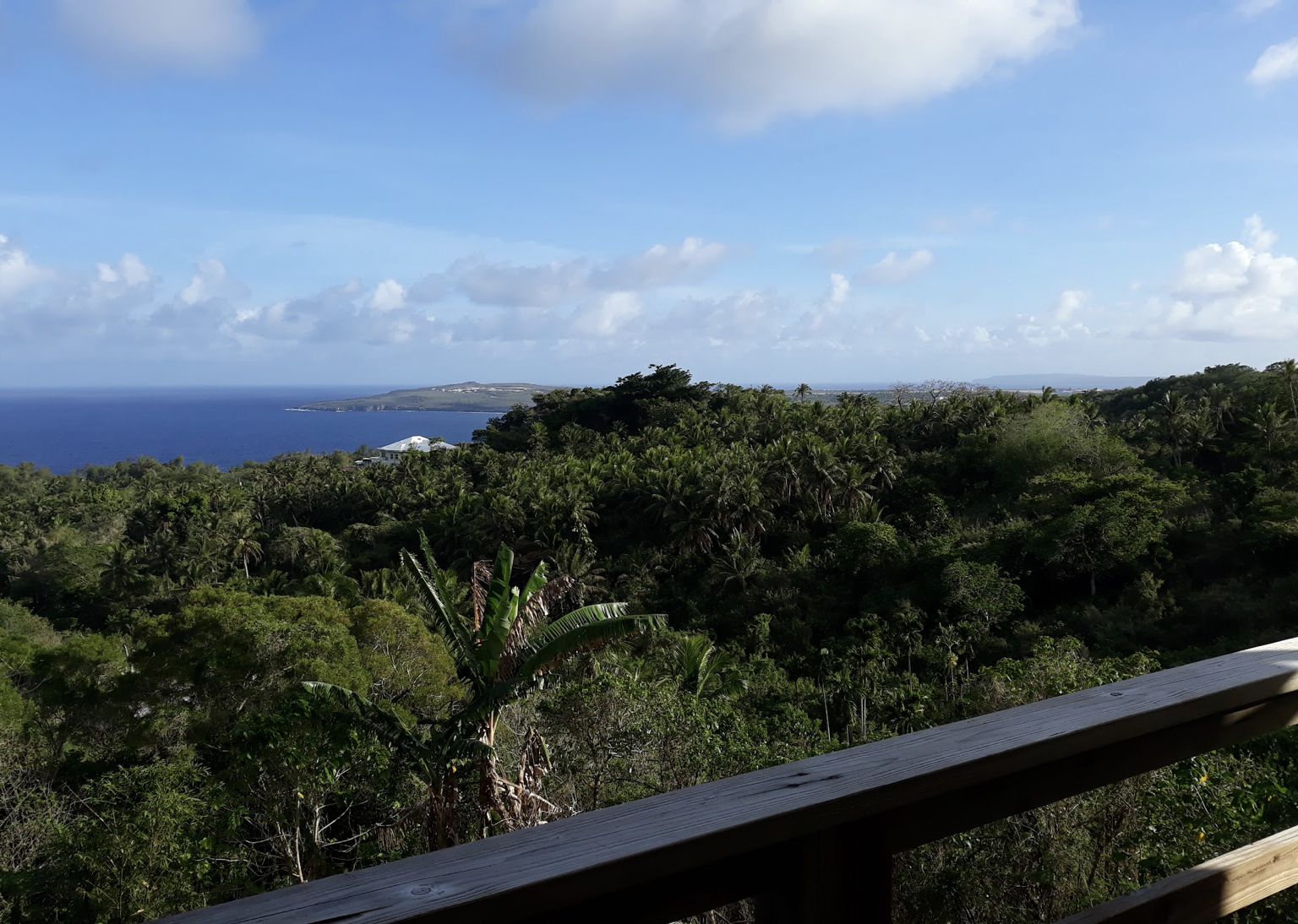 Screenshot 2025-06-19 at 10.34.46 AM.png