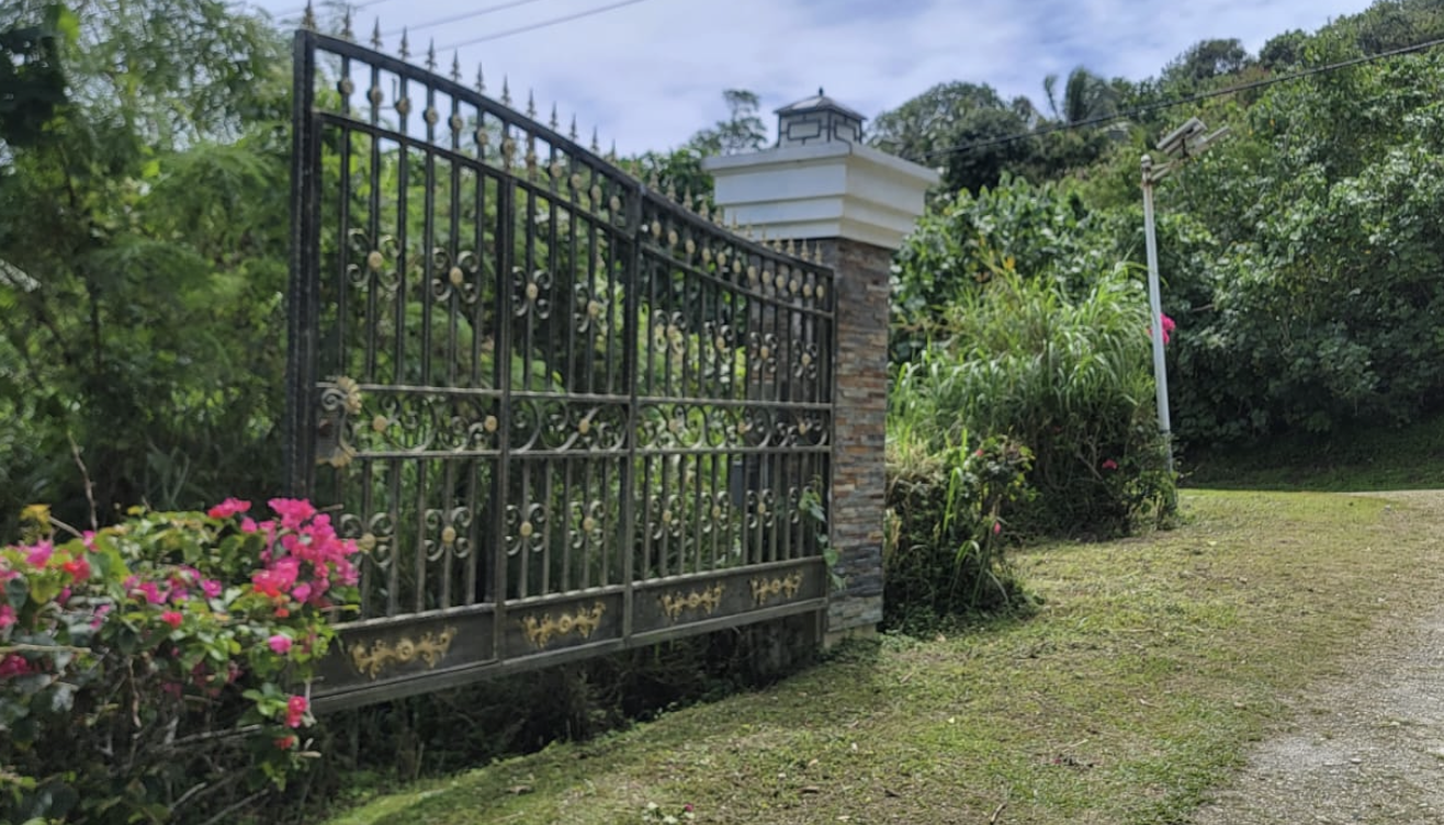 Screenshot 2024-03-11 at 1.23.52 PM.png