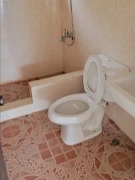 Screen Shot 2023-11-16 at 3.32.09 PM.jpg