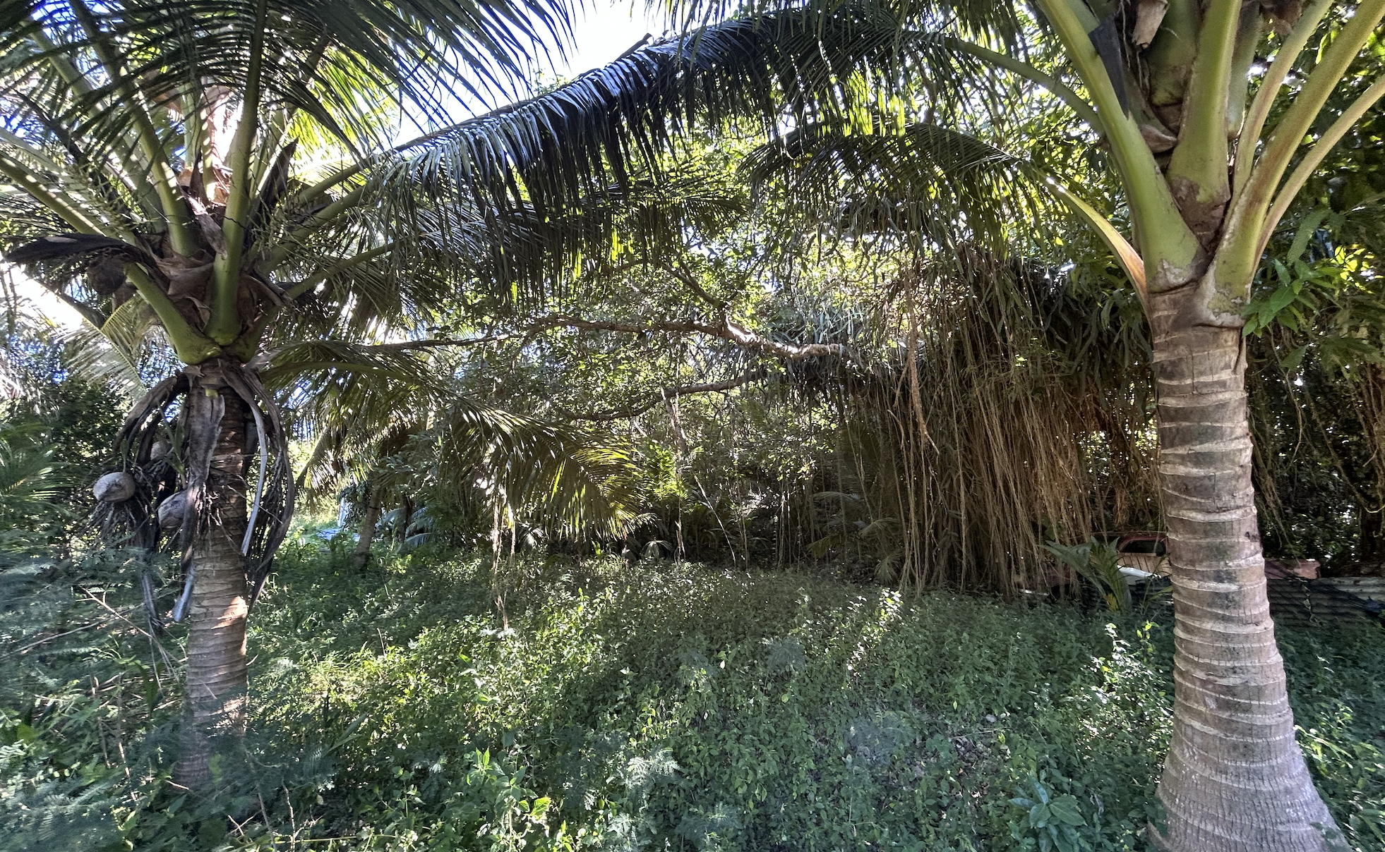 Screenshot 2025-03-01 at 4.42.28 PM.png