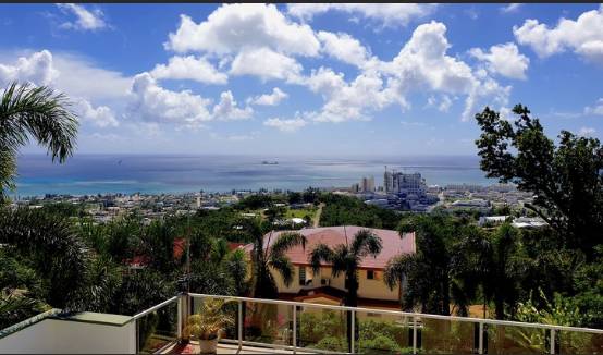 Screenshot 2024-05-30 at 10.15.42 AM.png